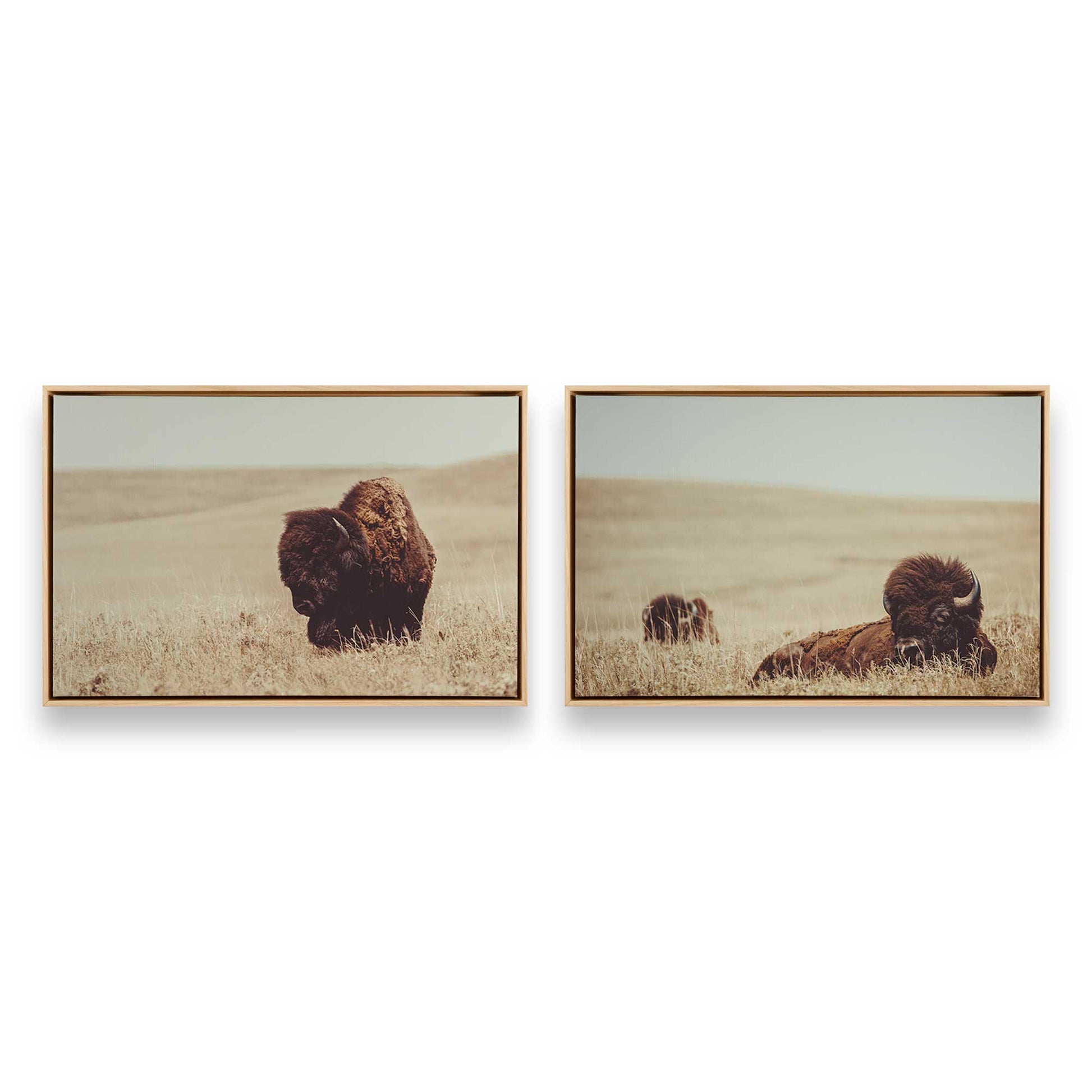 [Color:American Maple], Picture of art in a American Maple frame