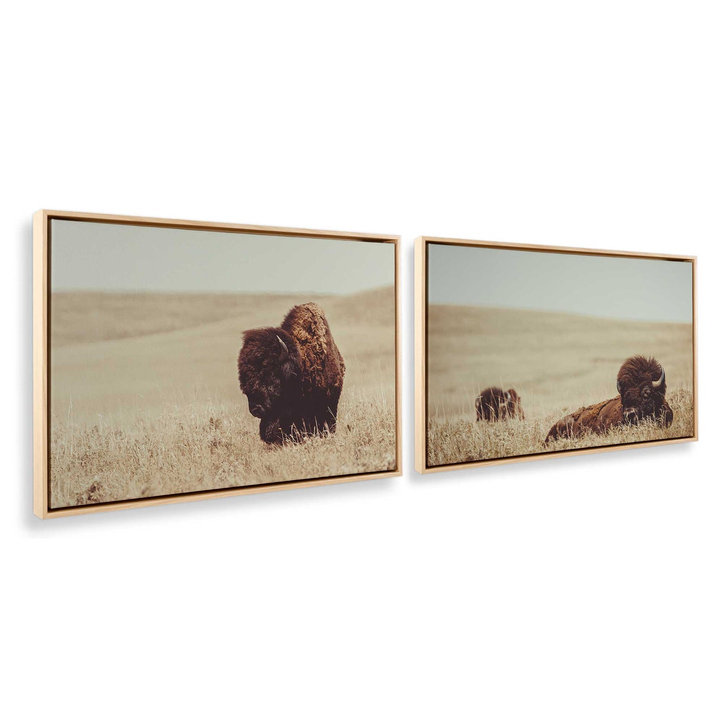 [Color:American Maple], Picture of art in a American Maple frame at an angle