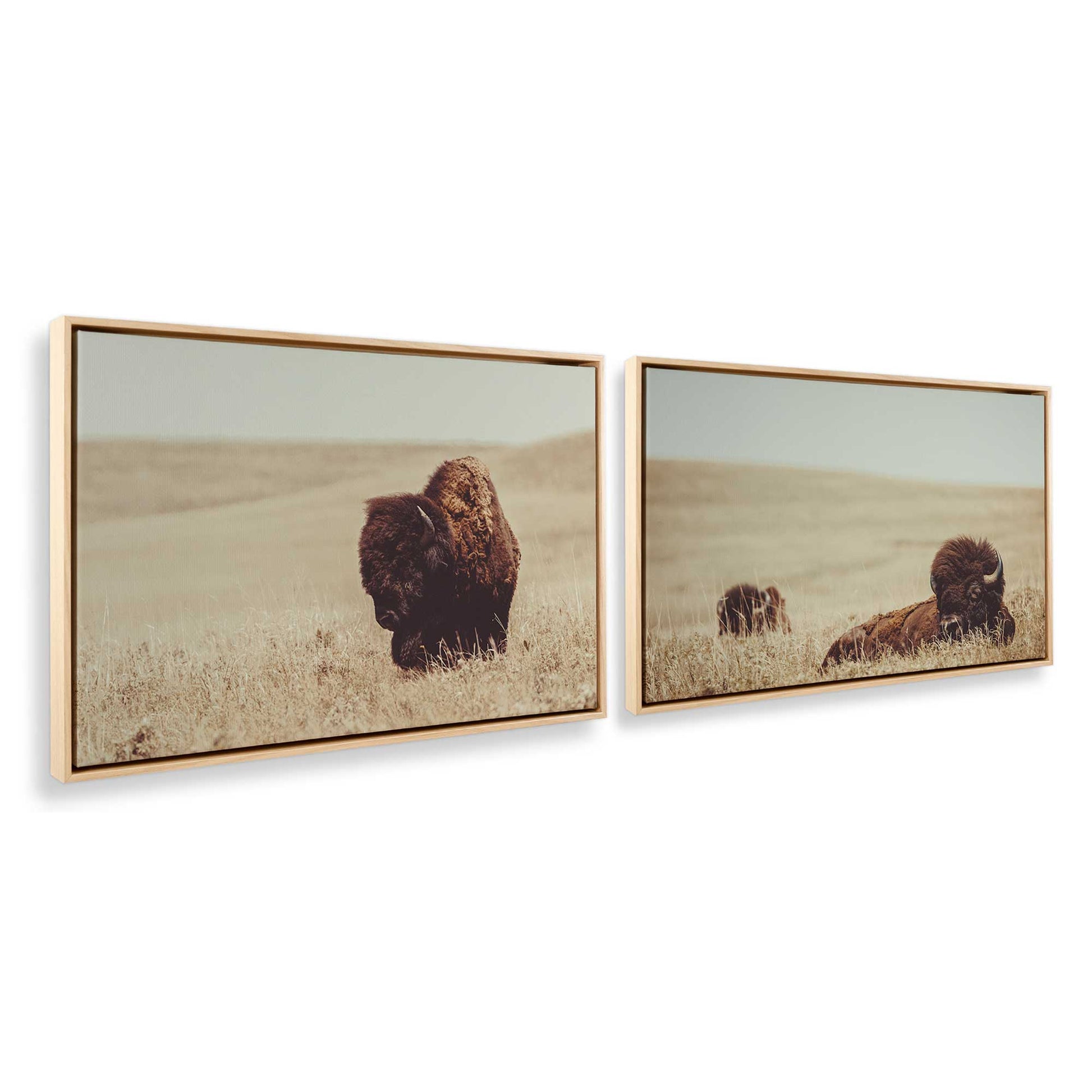 [Color:American Maple], Picture of art in a American Maple frame at an angle