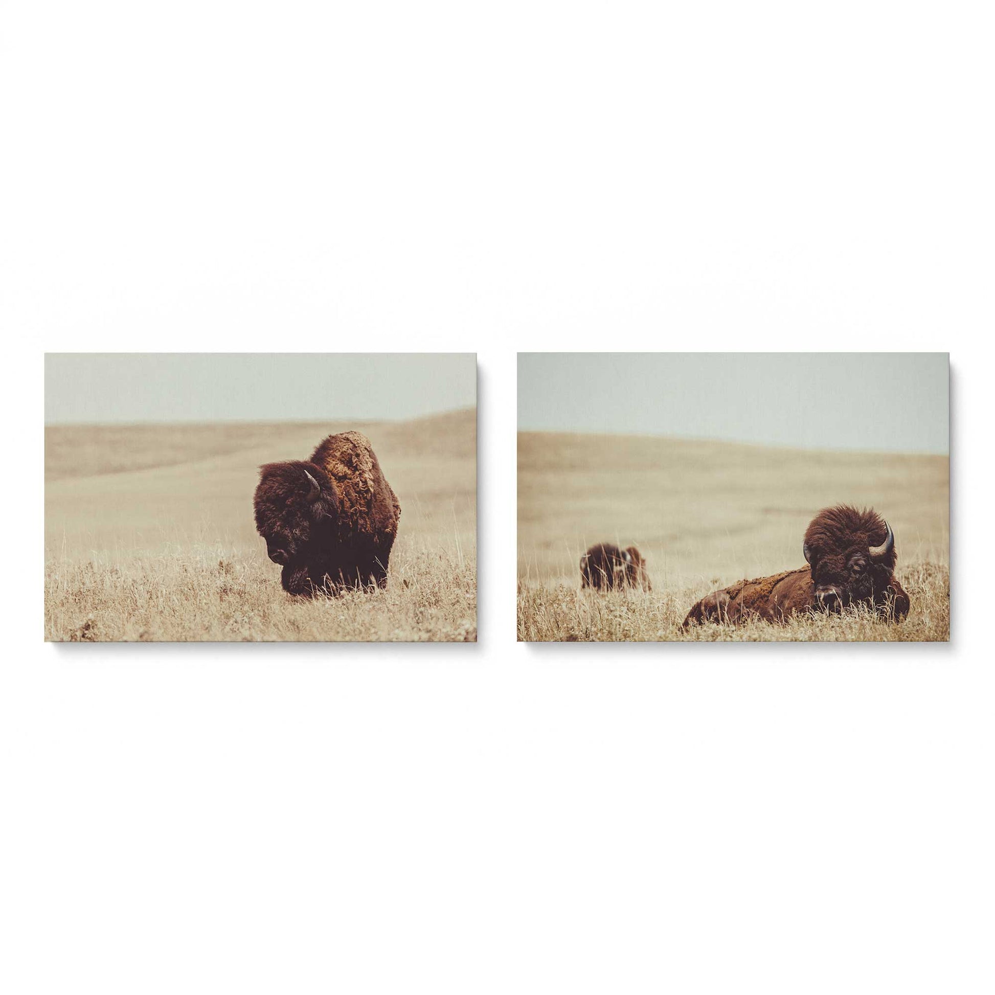 [Color:Stretched Canvas], Picture of art