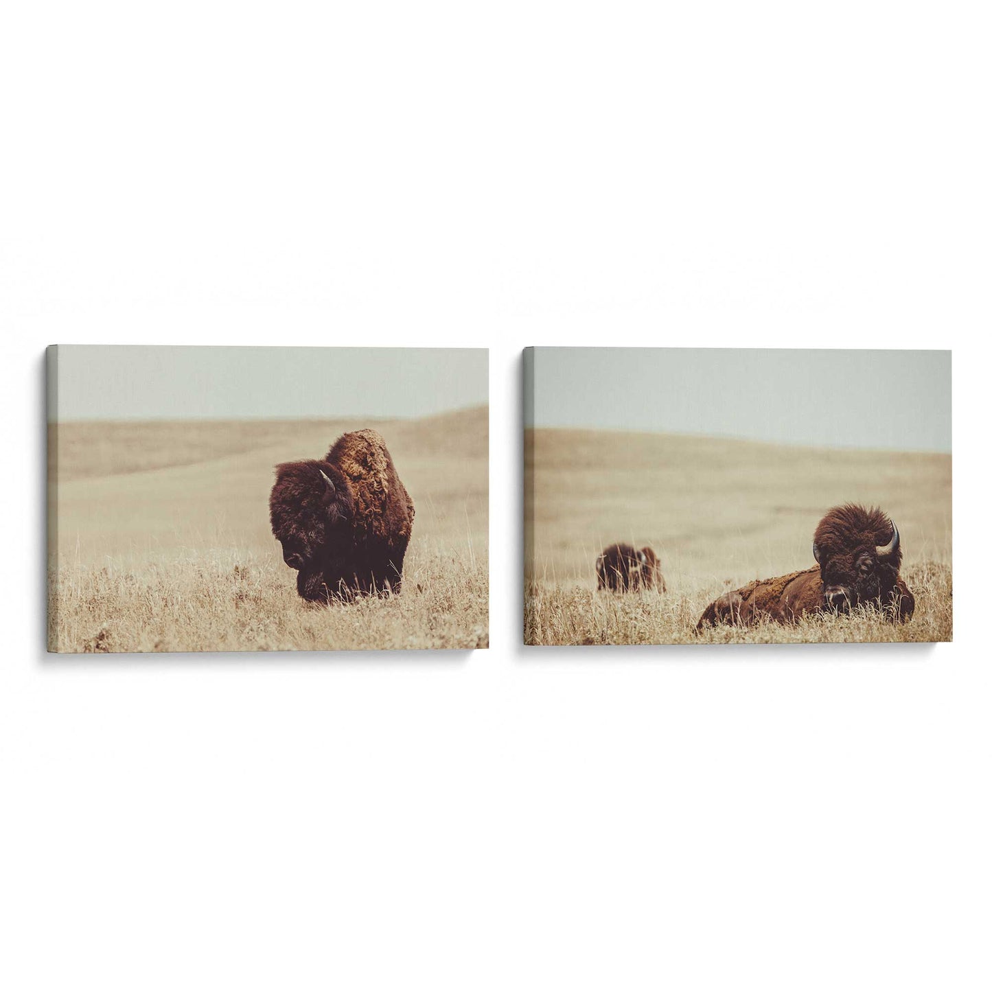 [Color:Stretched Canvas], Picture of art at an angle