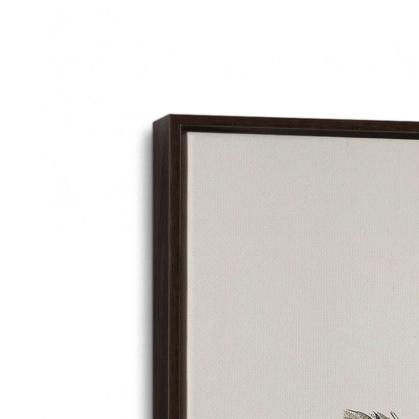 [Color:Espresso], Picture of art in a Espresso frame at an angle