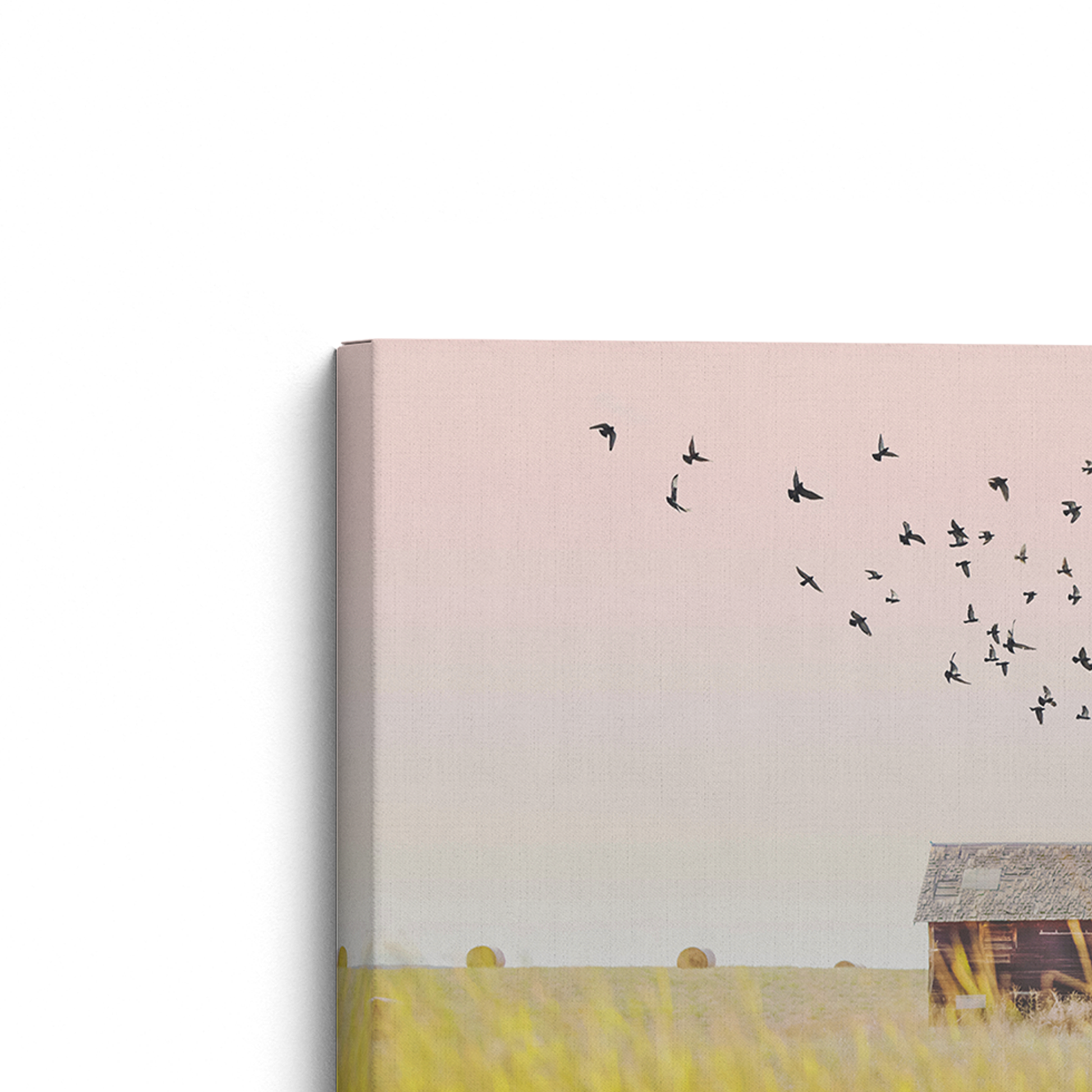 [color:Stretched Canvas], Picture of corner of frame