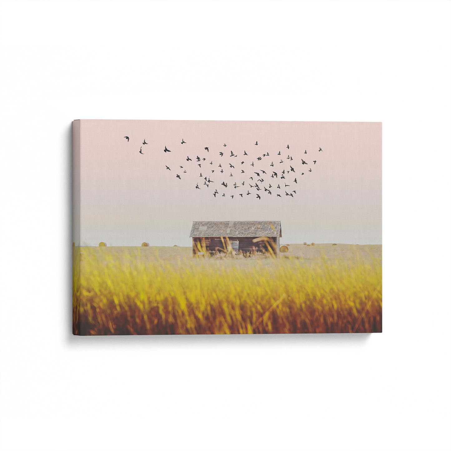 [color:Stretched Canvas], Picture of art at an angle