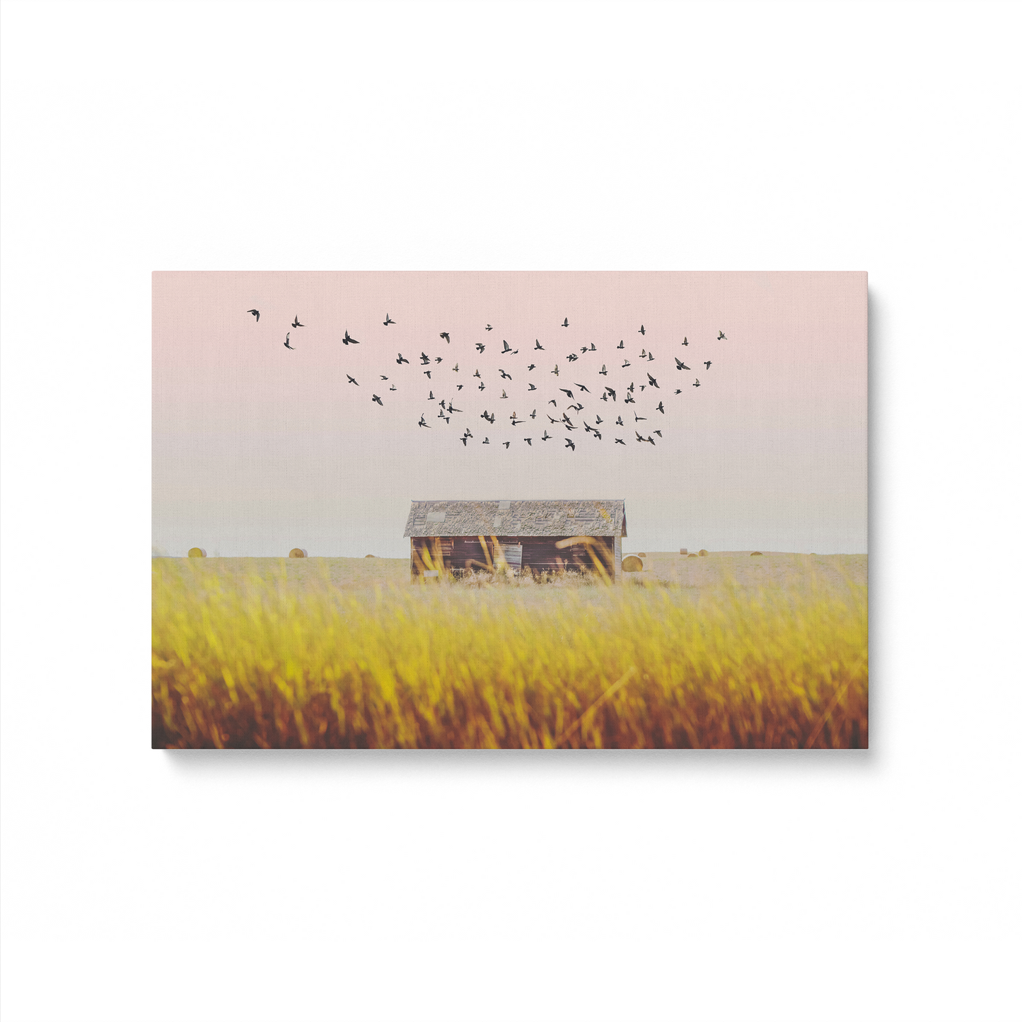 [color:Stretched Canvas], Picture of art in a black frame
