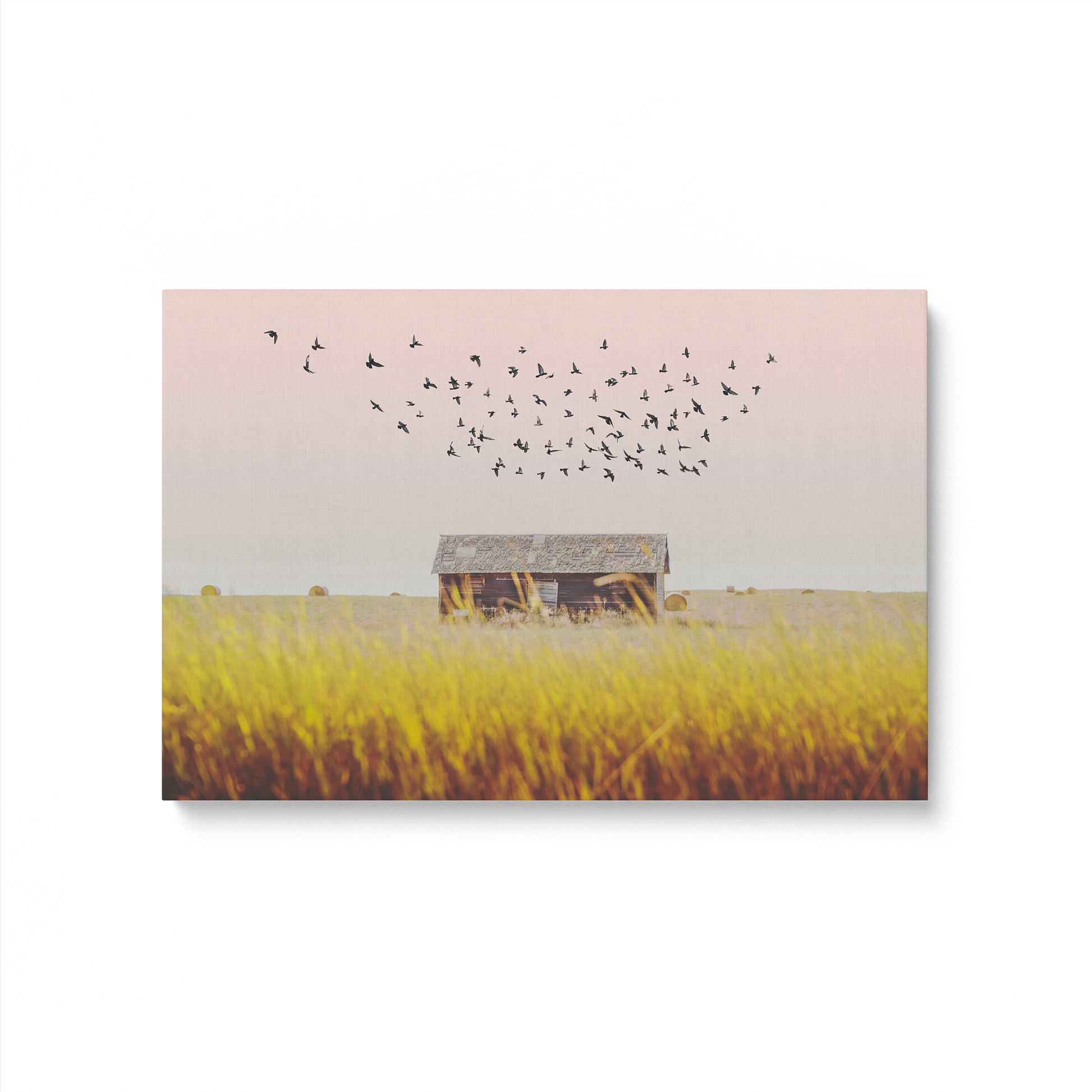 [color:Stretched Canvas], Picture of art in a black frame