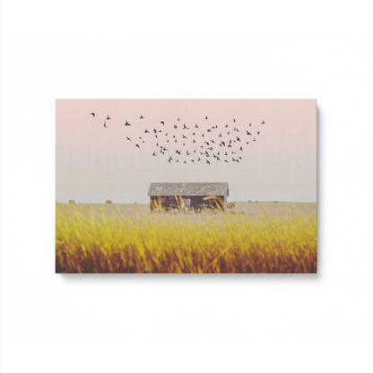 [color:Stretched Canvas], Picture of art in a black frame