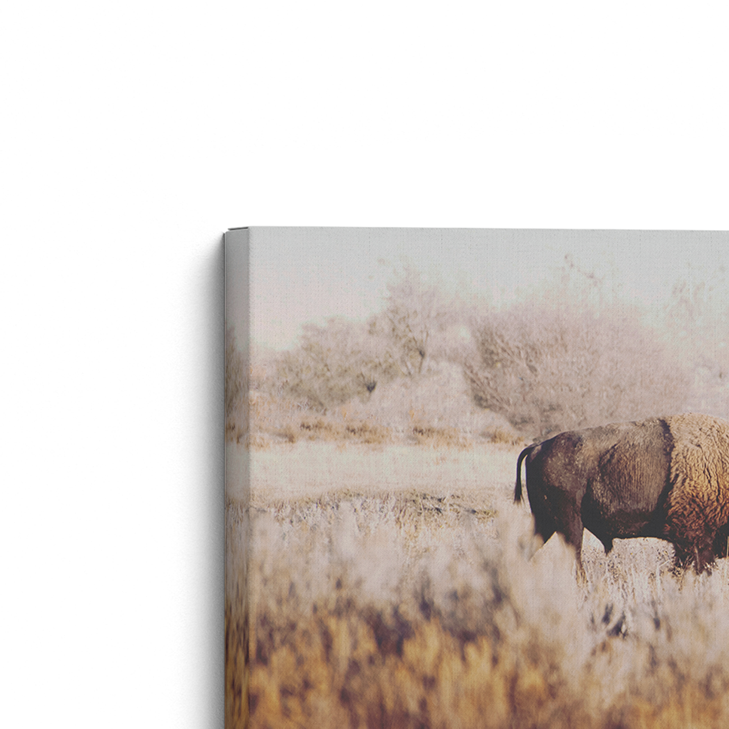 [color:Stretched Canvas], Picture of corner of frame