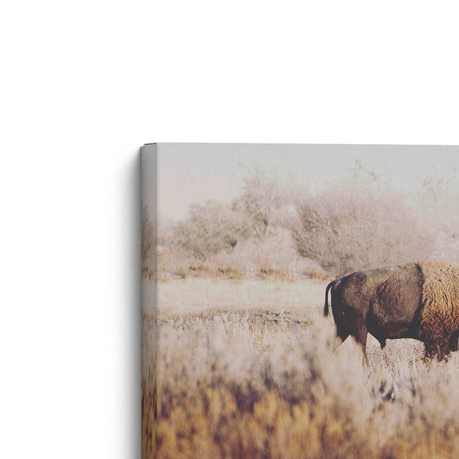 [color:Stretched Canvas], Picture of corner of frame