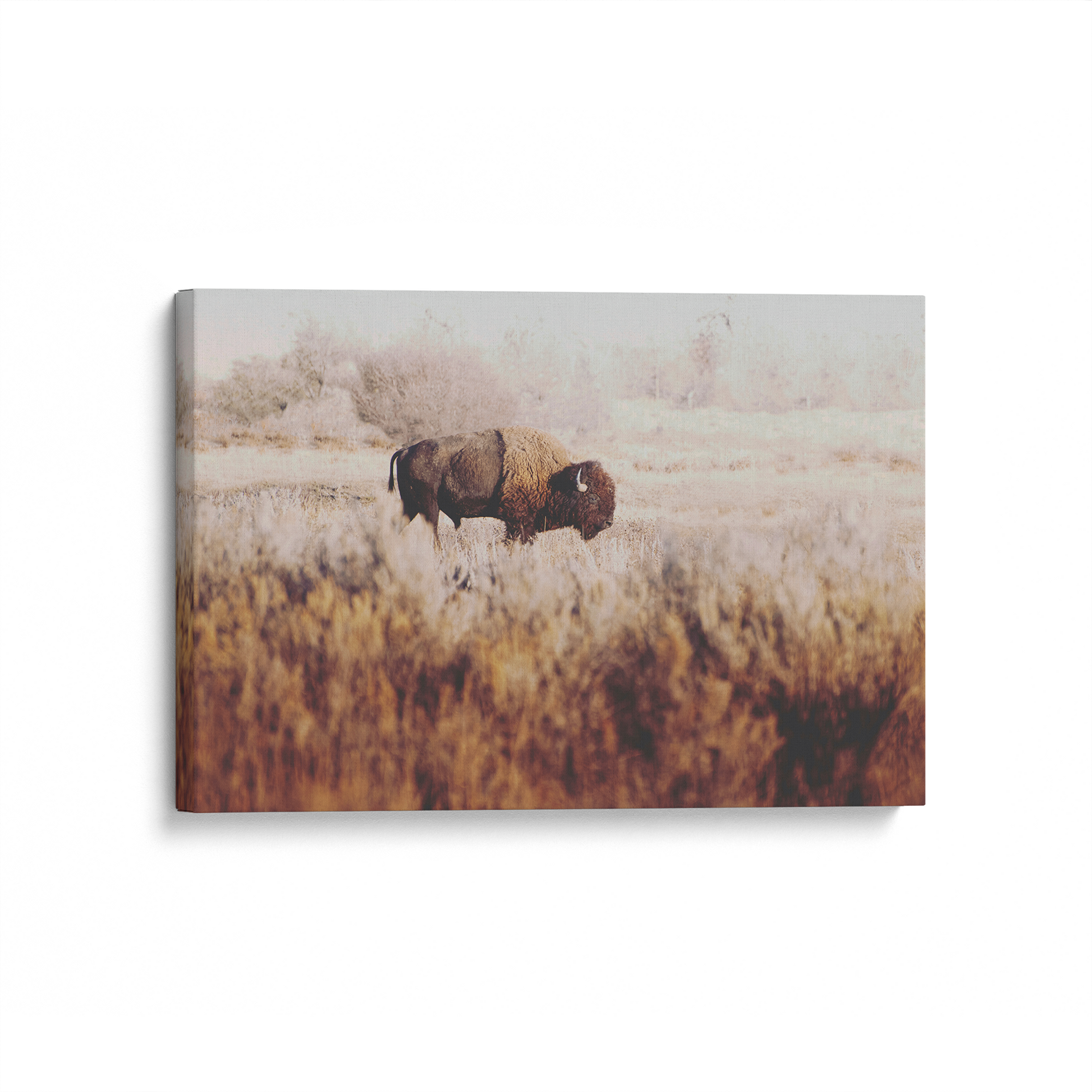[color:Stretched Canvas], Picture of art at an angle