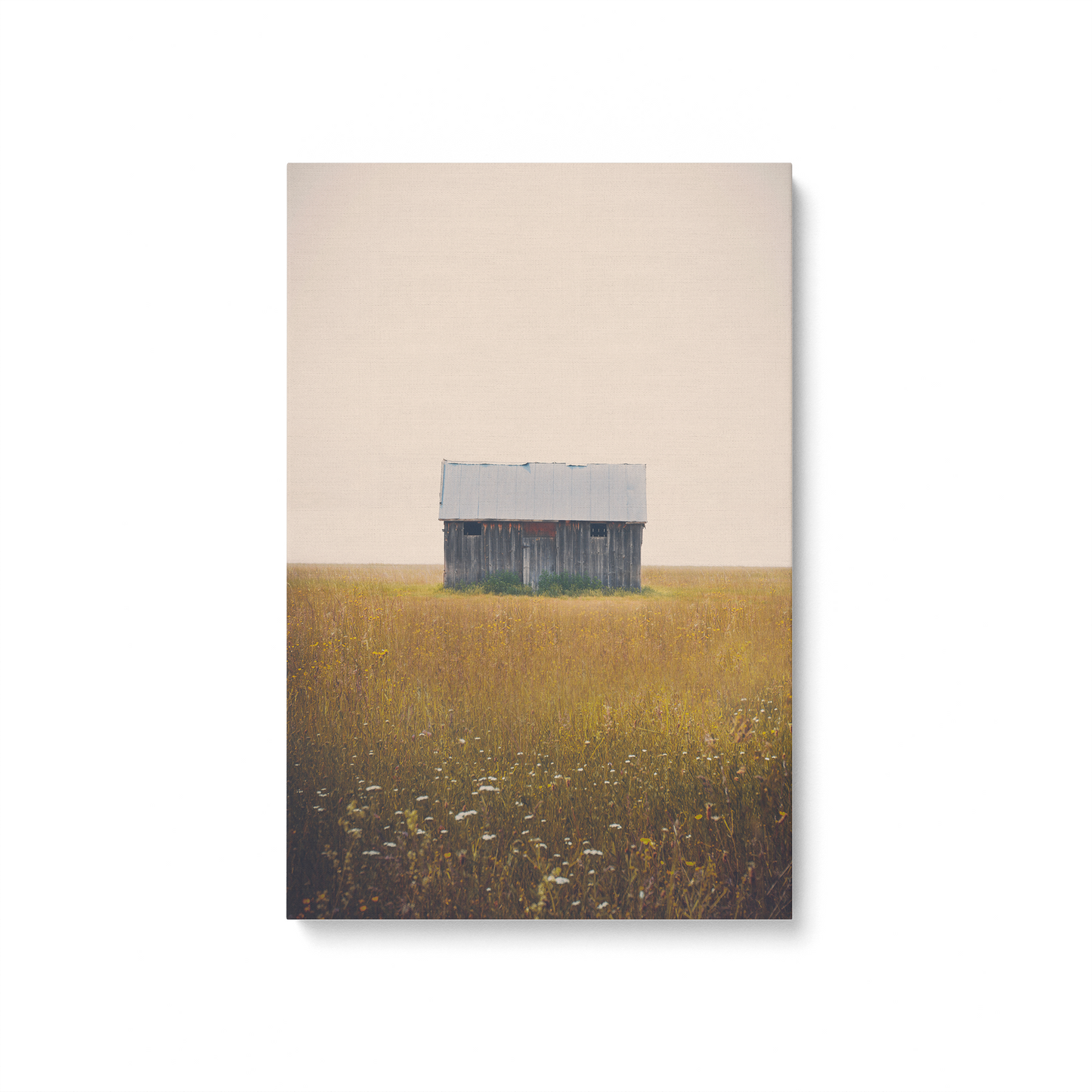 [color:Stretched Canvas], Picture of art in a black frame