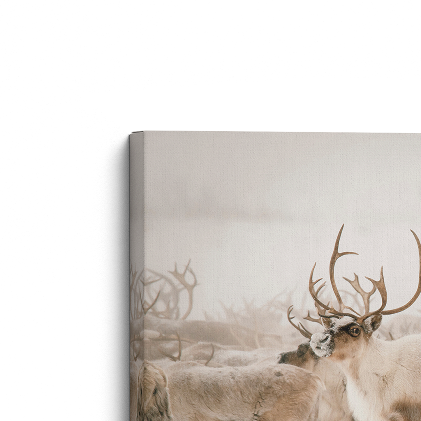 [color:Stretched Canvas], Frame corner detail