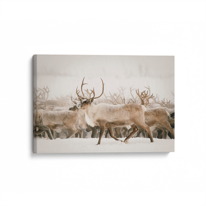 [color:Stretched Canvas], Picture of art in a black frame at angle
