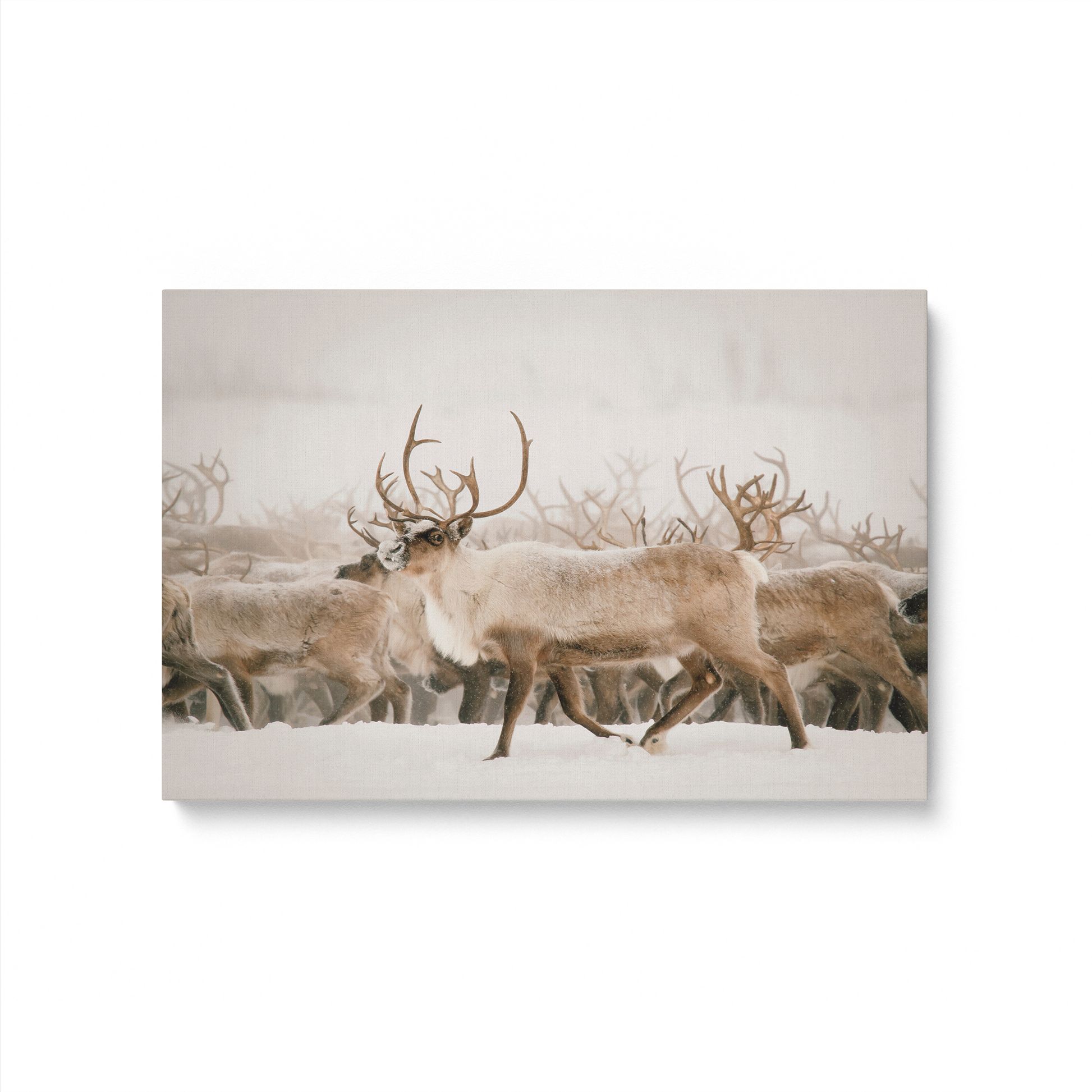 [color:Stretched Canvas], Picture of art in a black frame