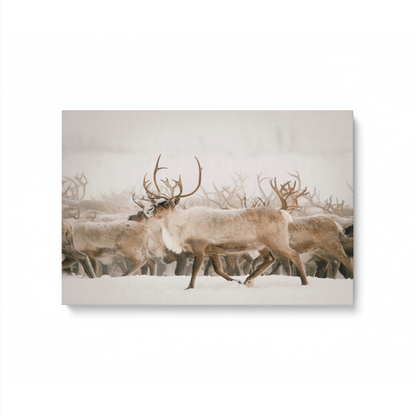 [color:Stretched Canvas], Picture of art in a black frame