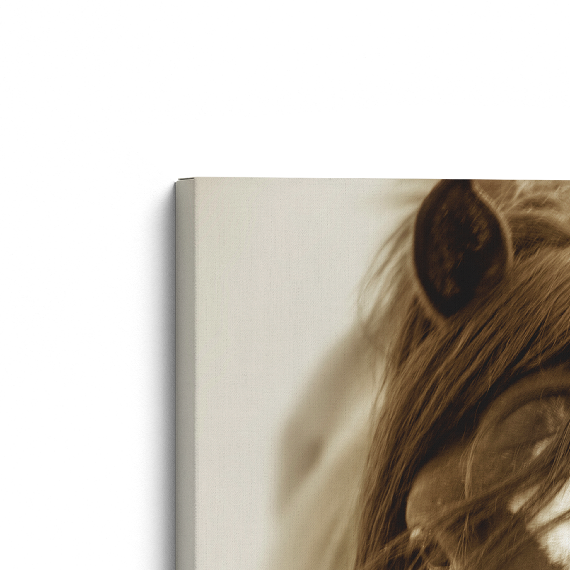 [color:Stretched Canvas], Frame corner detail