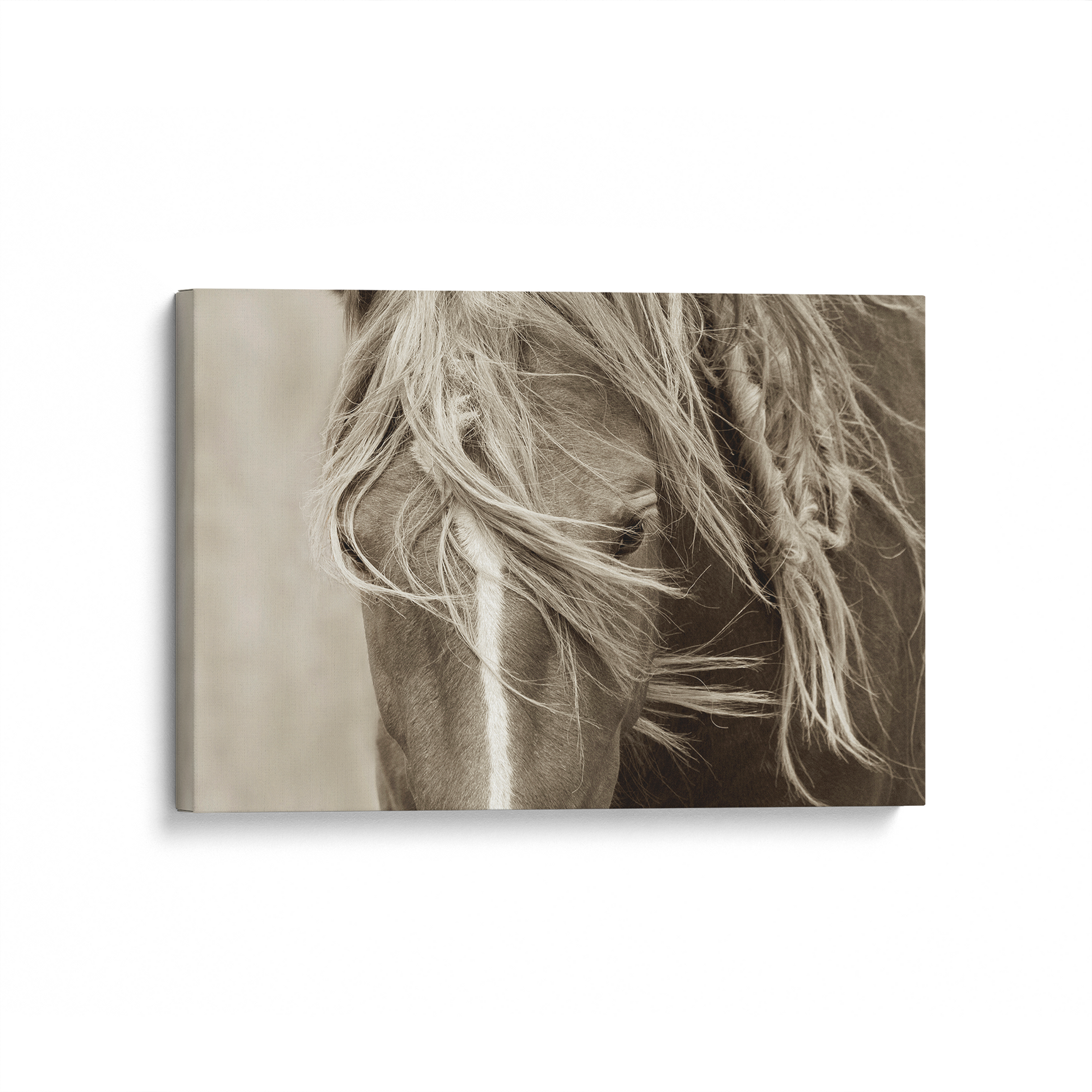 [color:Stretched Canvas], Picture of art in a black frame at angle