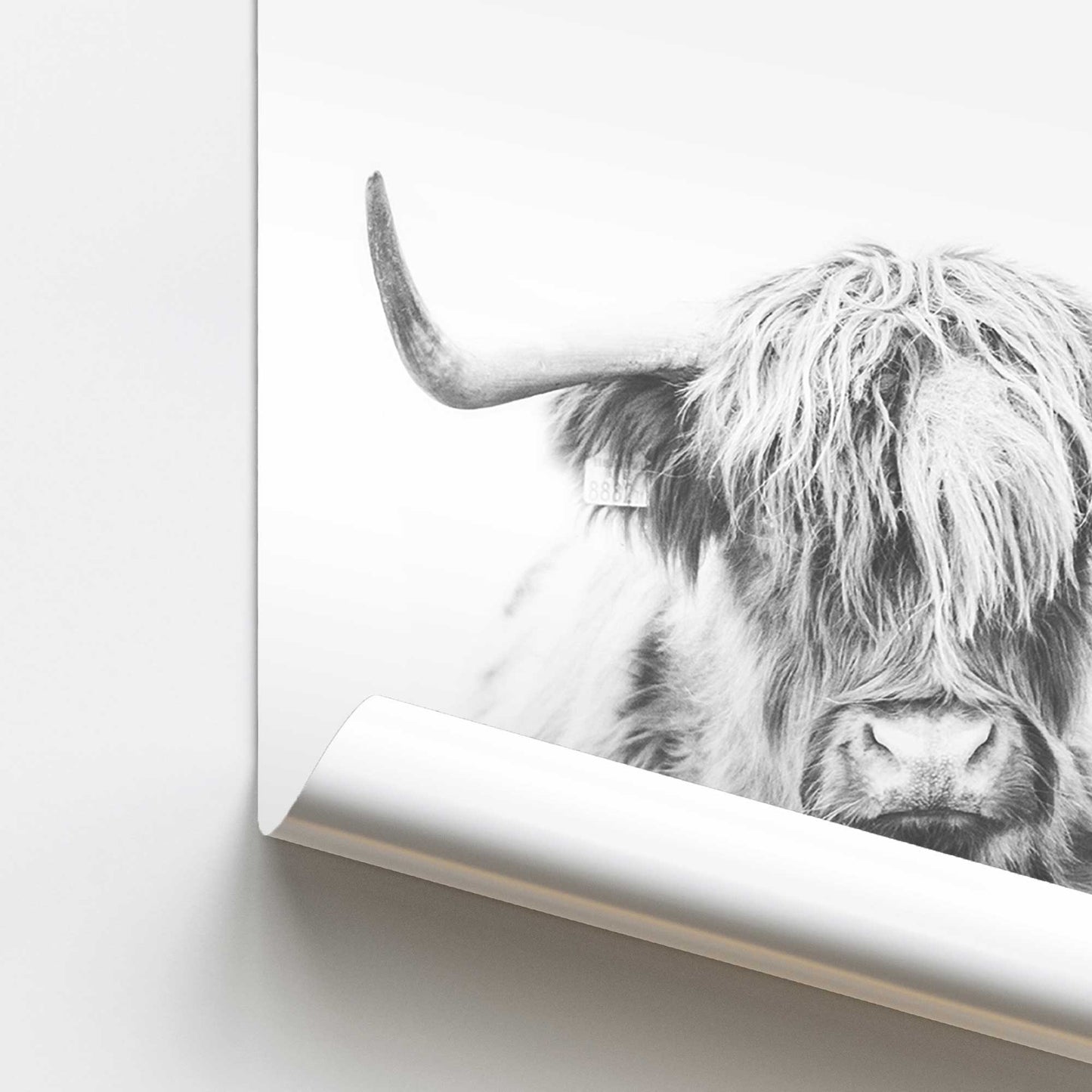 Highland Spirit Promotional Rolled Print