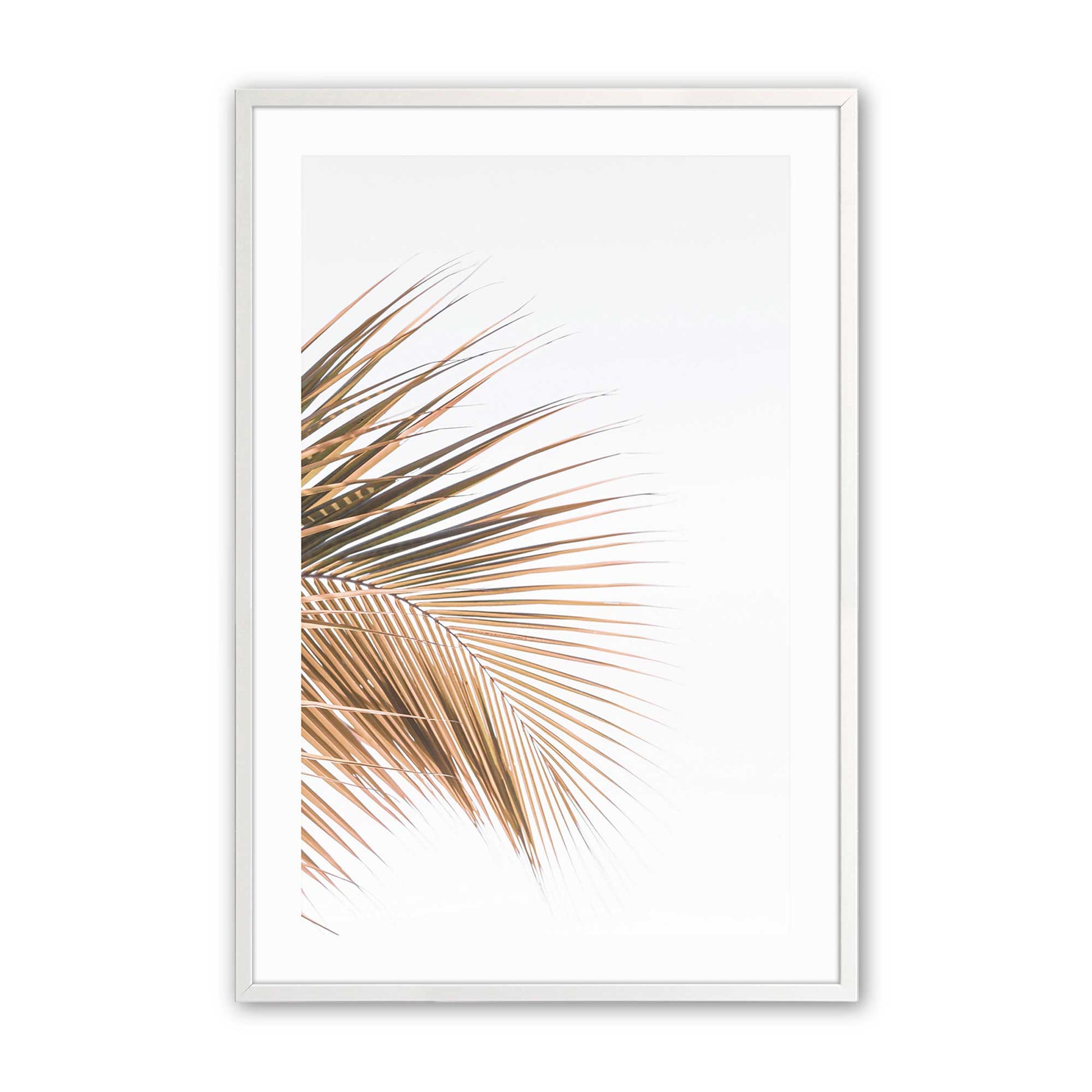 [Color:Opaque White], Picture of art in a Opaque White frame