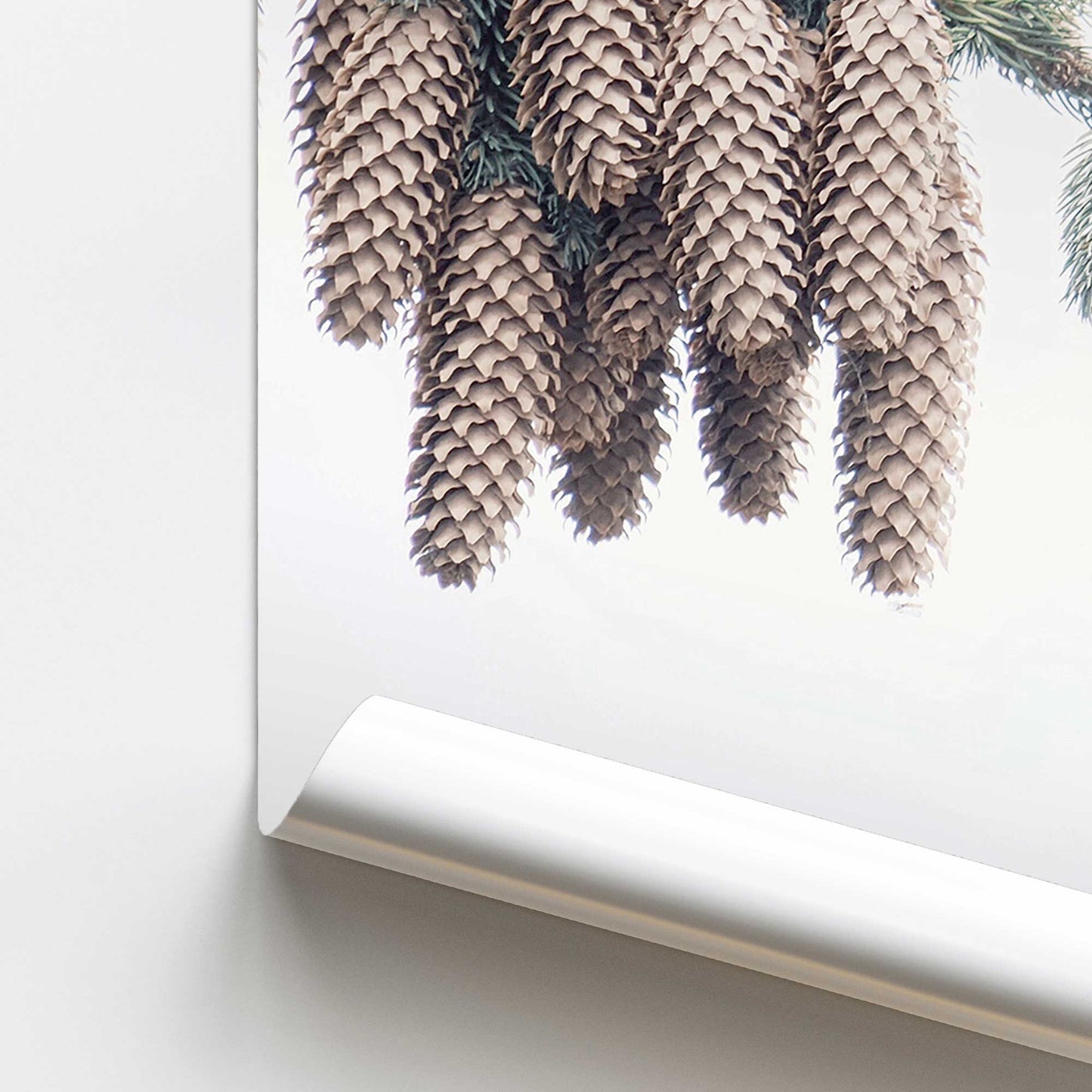 Forest Treasures Promotional Rolled Print