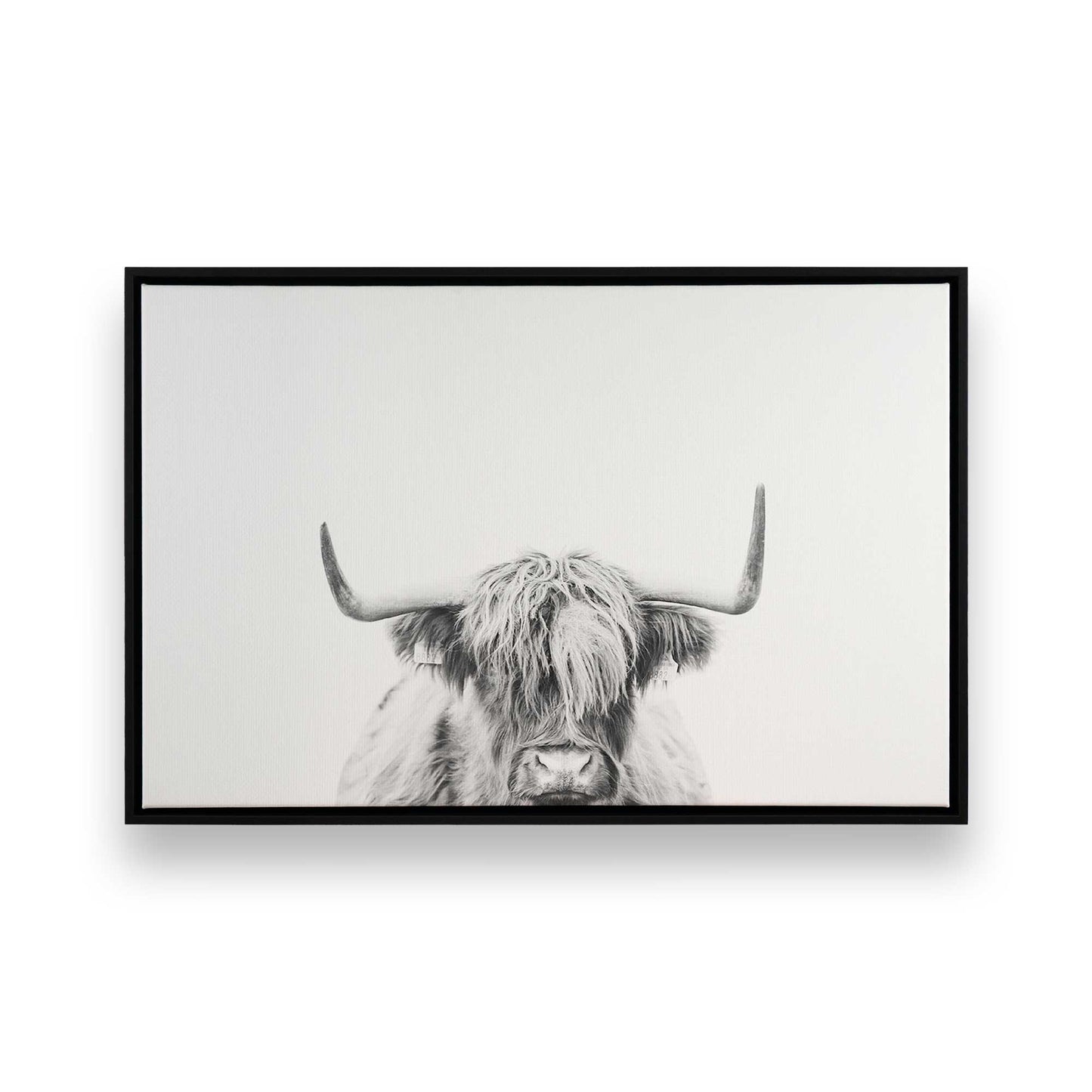 [Color:Satin Black],[SPECIAL], Front image of the art