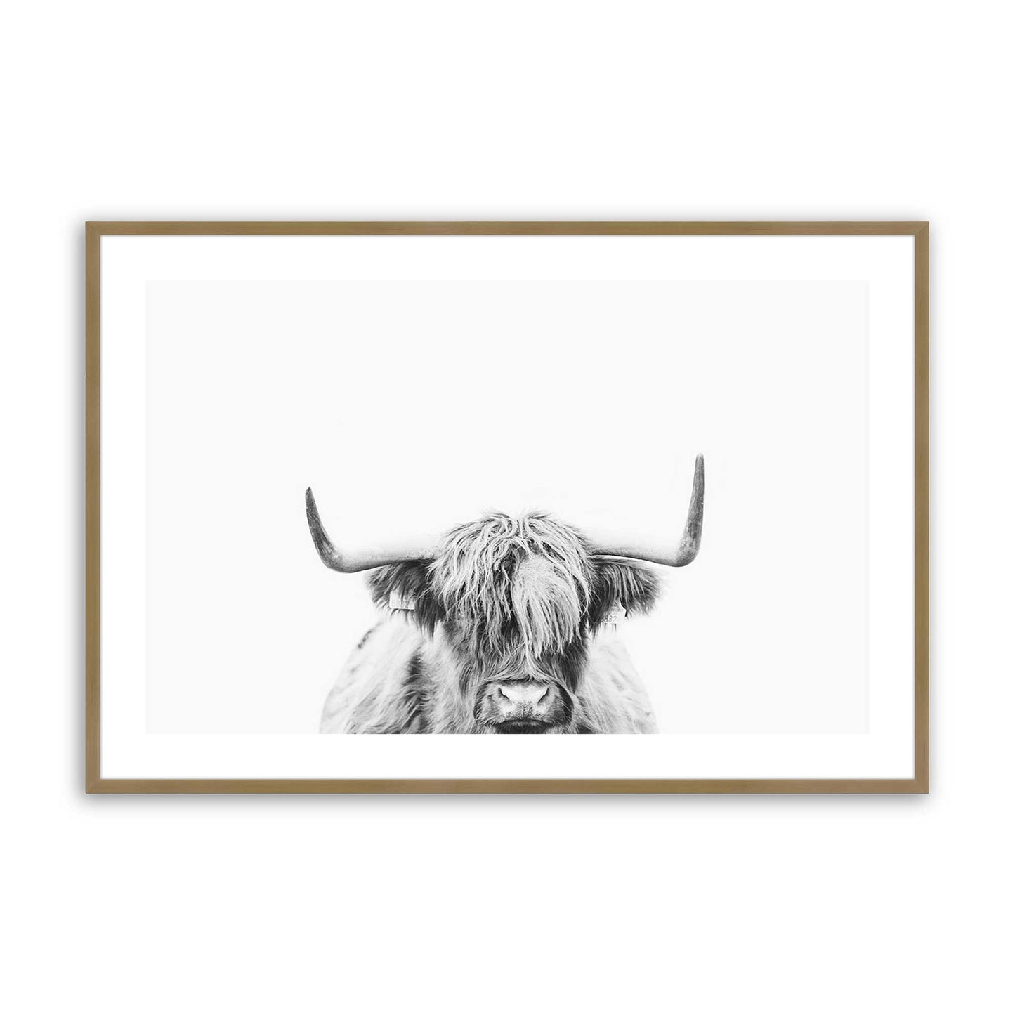 [Color:Brushed Gold], Picture of art in a Brushed Gold frame
