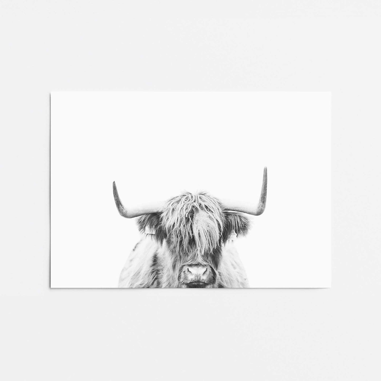 Highland Pride Promotional Rolled Print