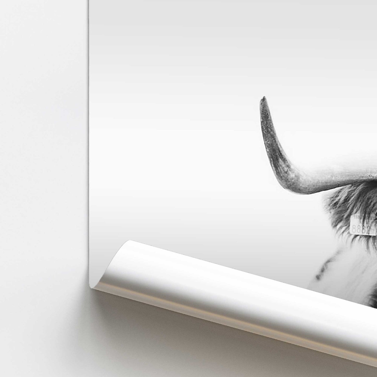 Highland Pride Promotional Rolled Print