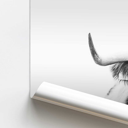Highland Pride Promotional Rolled Print