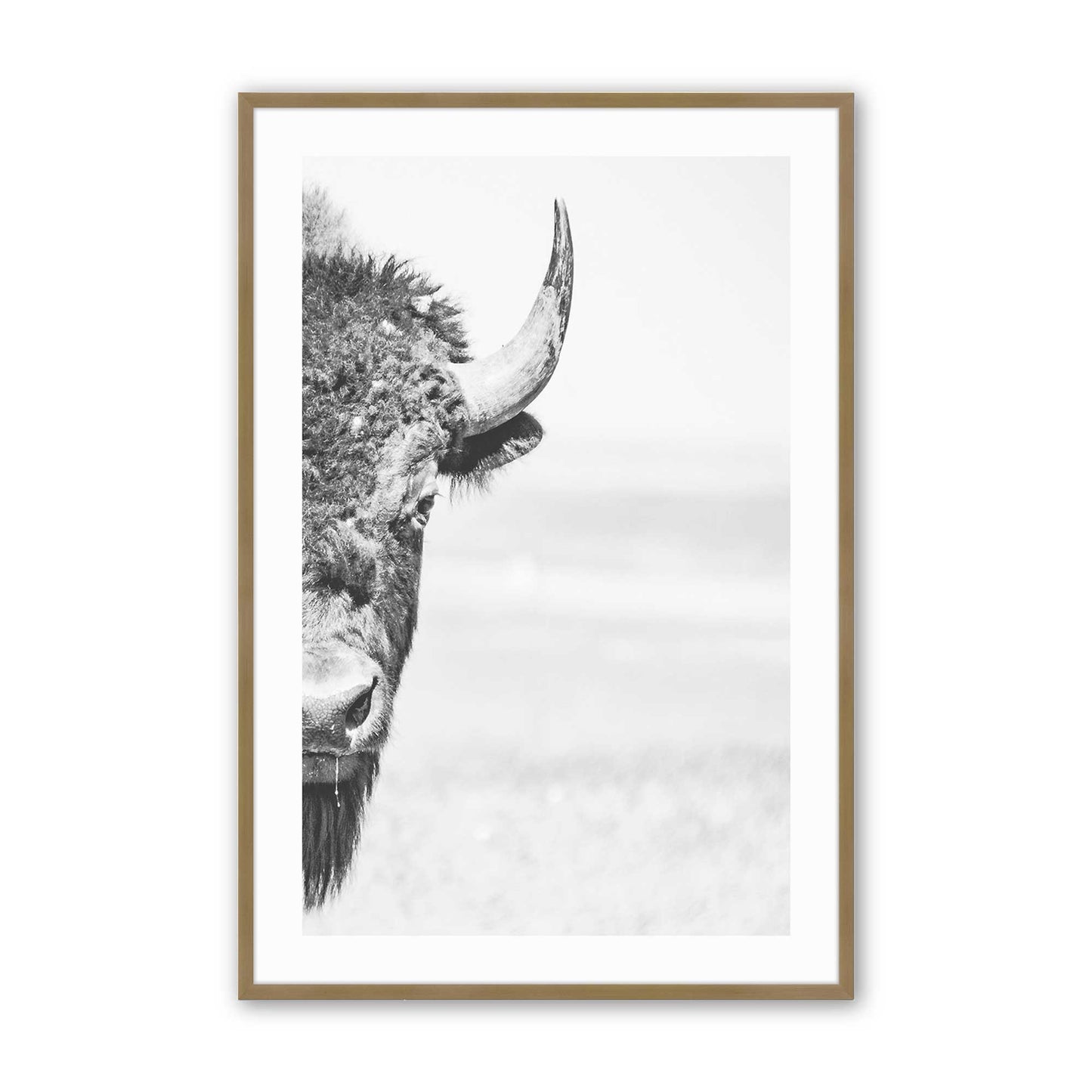 [Color:Brushed Gold], Picture of art in a Brushed Gold frame