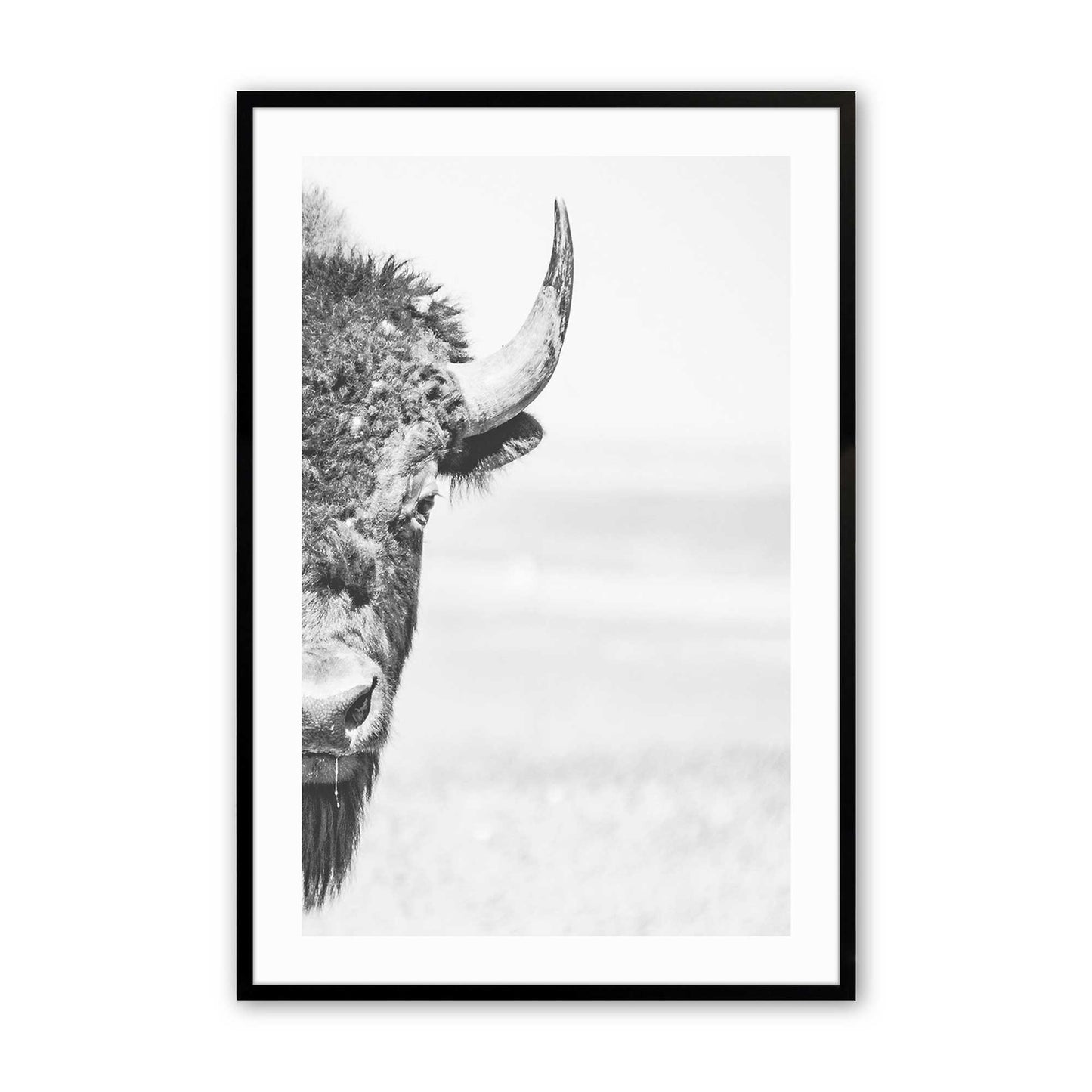 [Color:Satin Black], Picture of art in a Satin Black frame