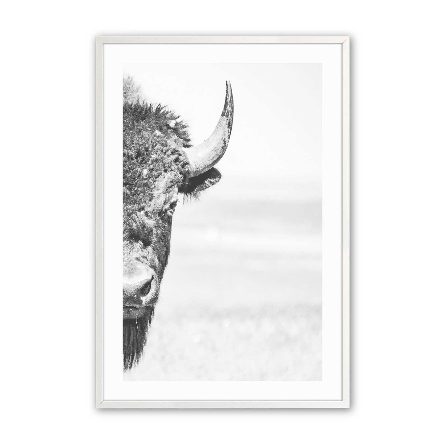 [Color:Opaque White], Picture of art in a Opaque White frame