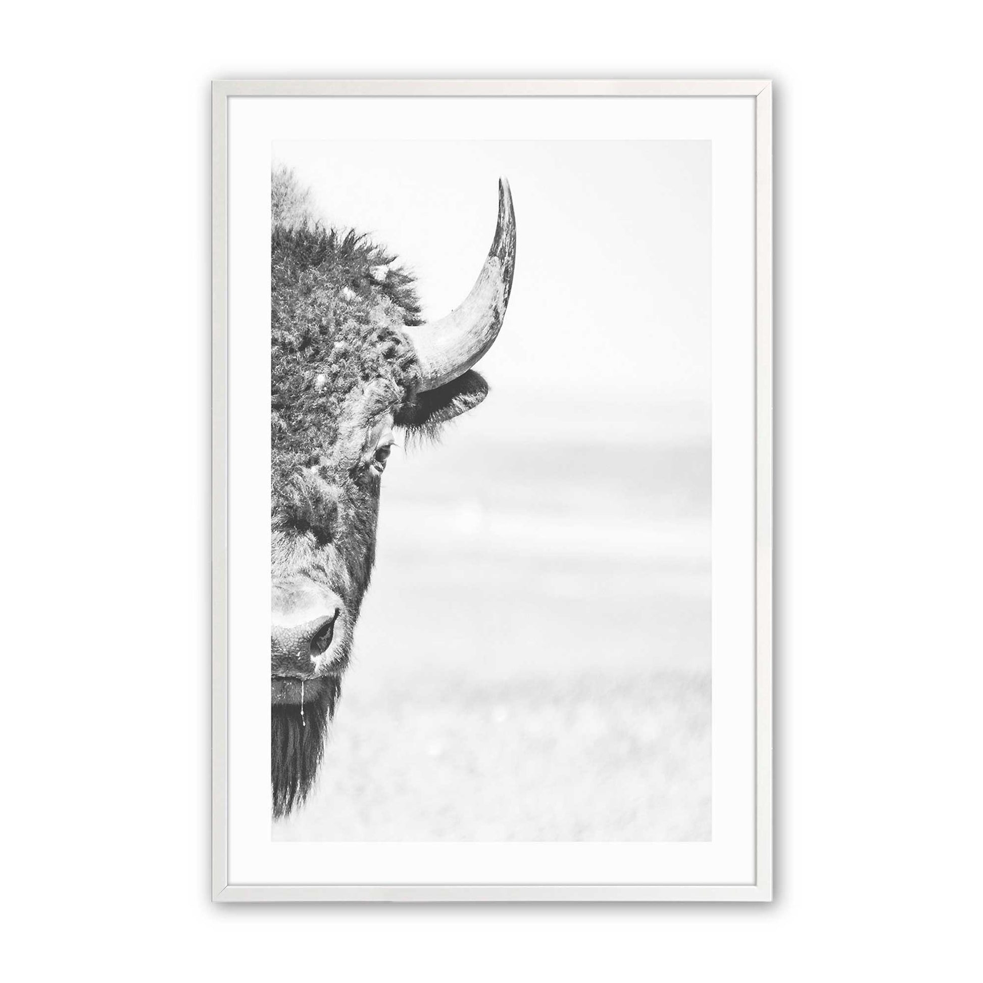 [Color:Opaque White], Picture of art in a Opaque White frame