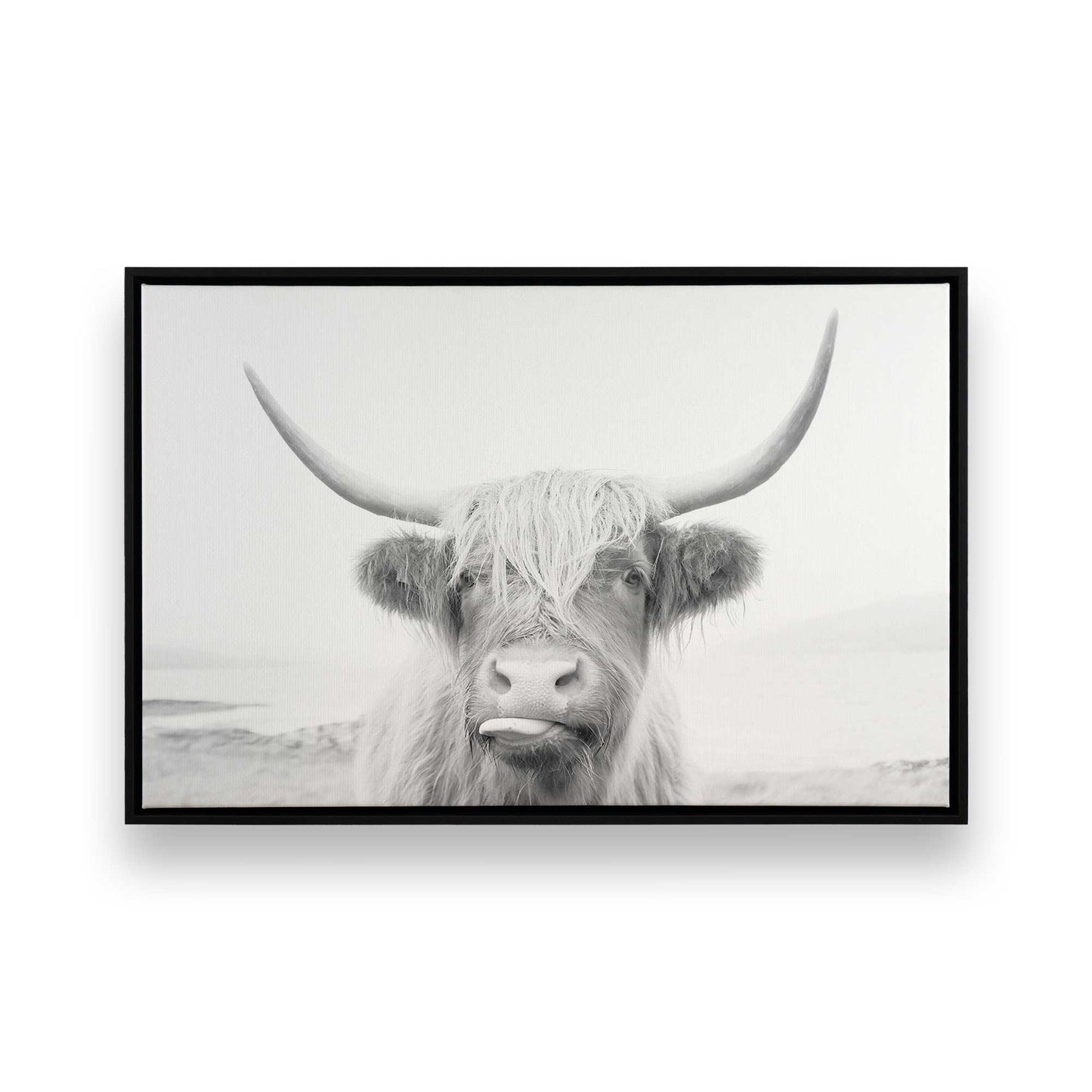 [Color:Satin Black],[SPECIAL], Front image of the art