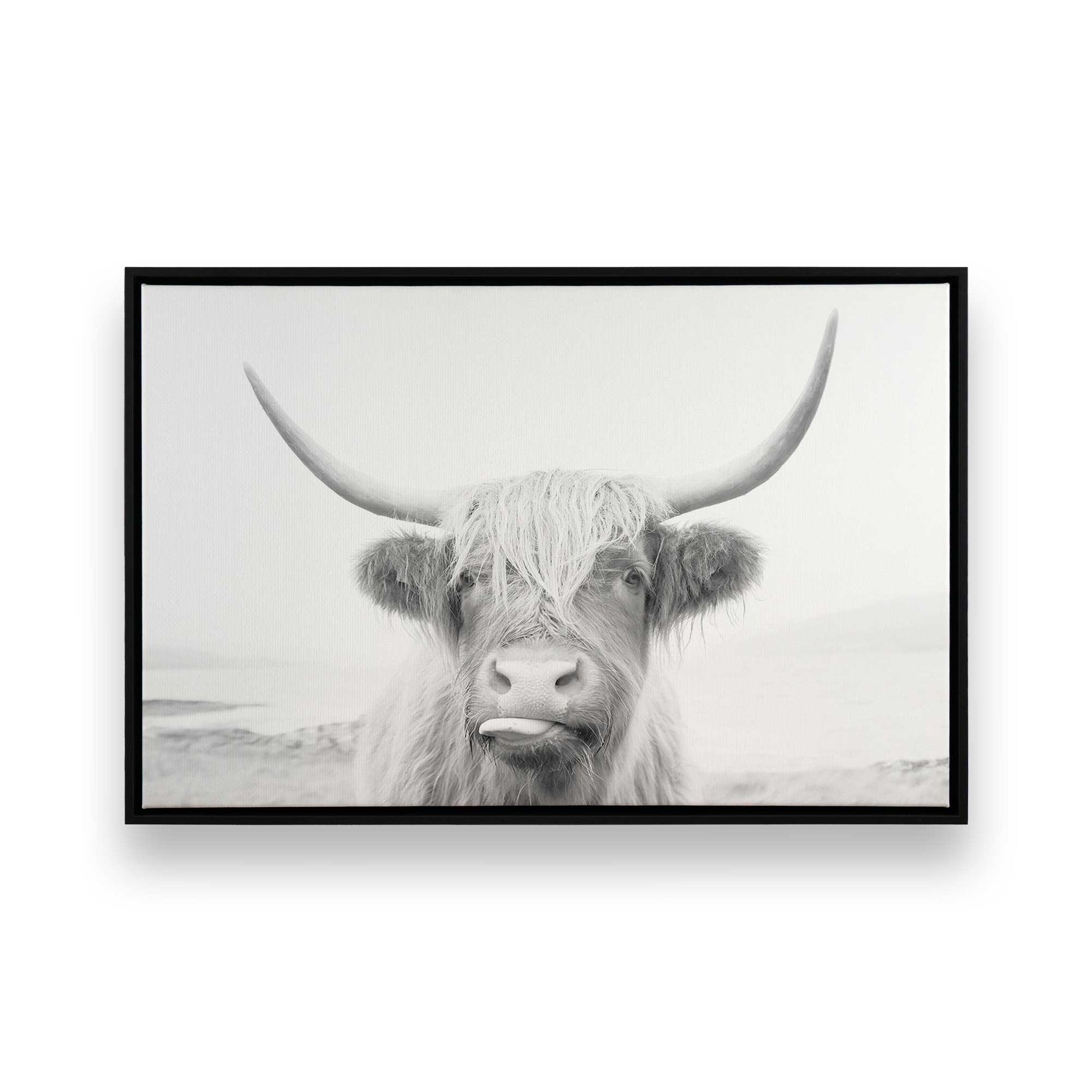 [Color:Satin Black],[SPECIAL], Front image of the art