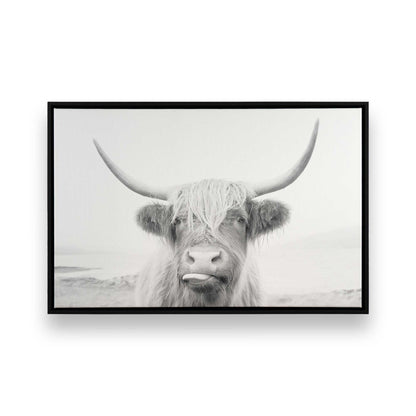 [Color:Satin Black],[SPECIAL], Front image of the art