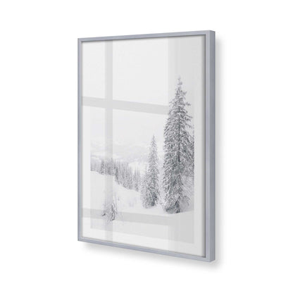 [Color:Polished Chrome], Picture of art in a Polished Chrome frame at an angle