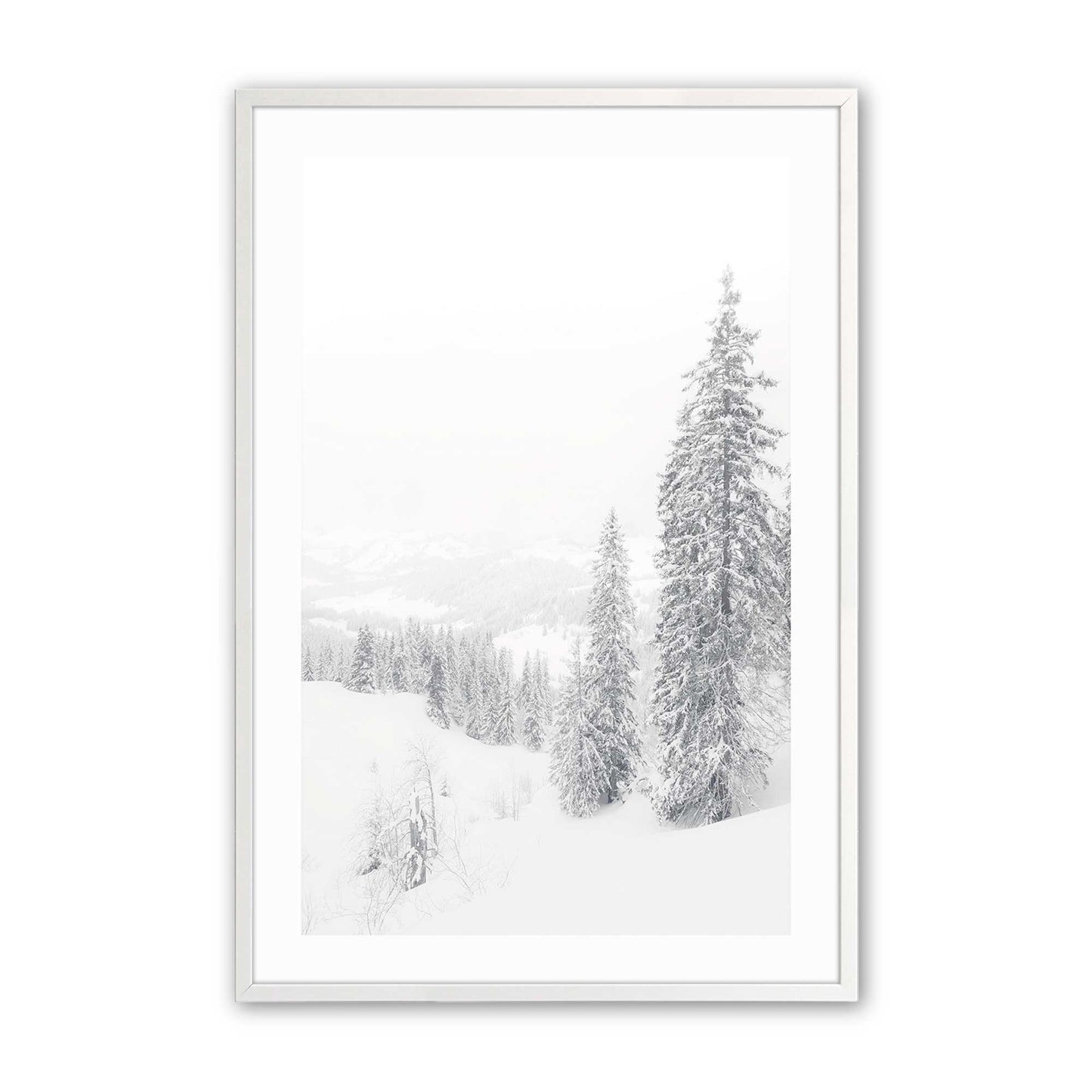 [Color:Opaque White], Picture of art in a Opaque White frame