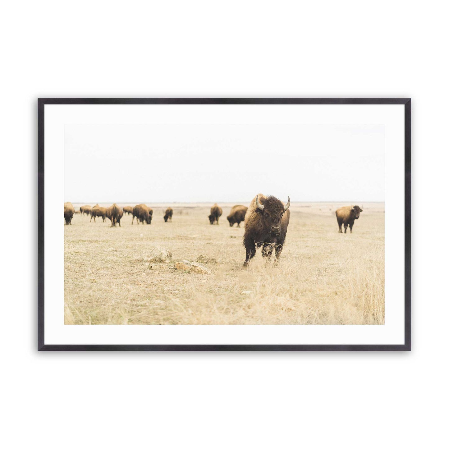 [Color:Weathered Zinc], Picture of art in a Weathered Zinc frame