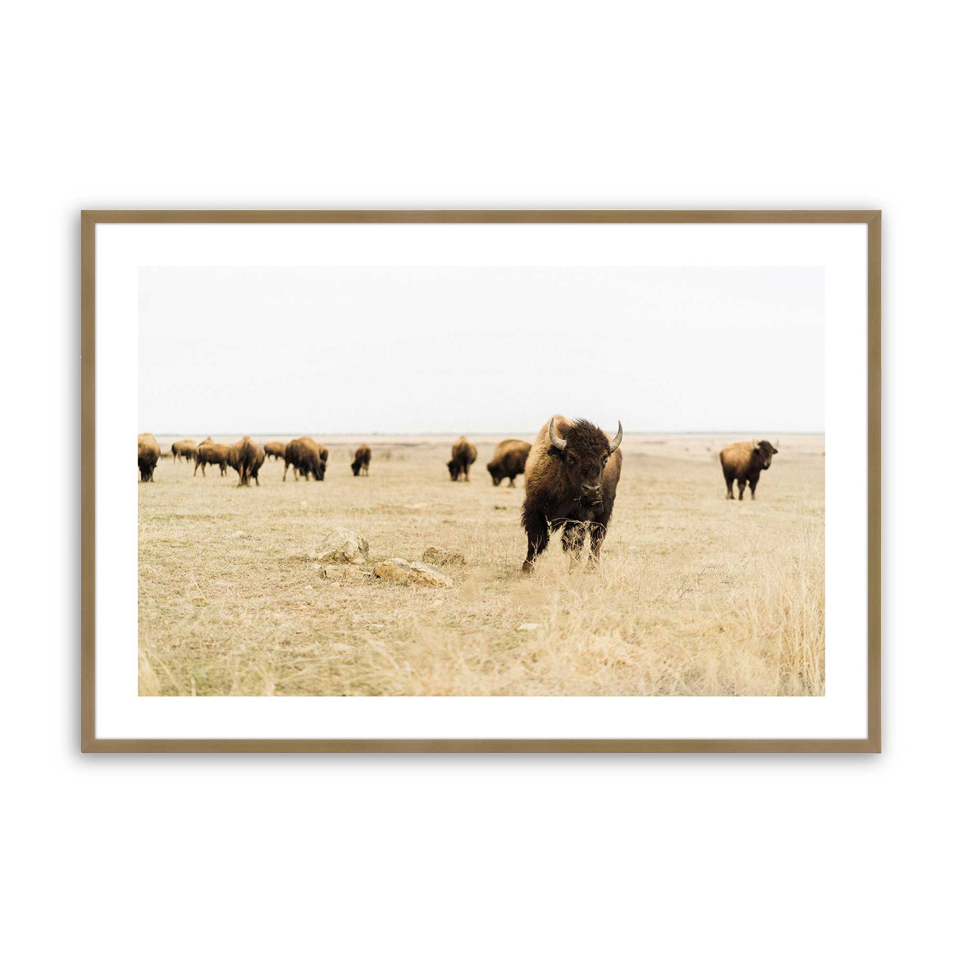 [Color:Brushed Gold], Picture of art in a Brushed Gold frame