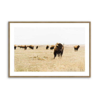 [Color:Brushed Gold], Picture of art in a Brushed Gold frame