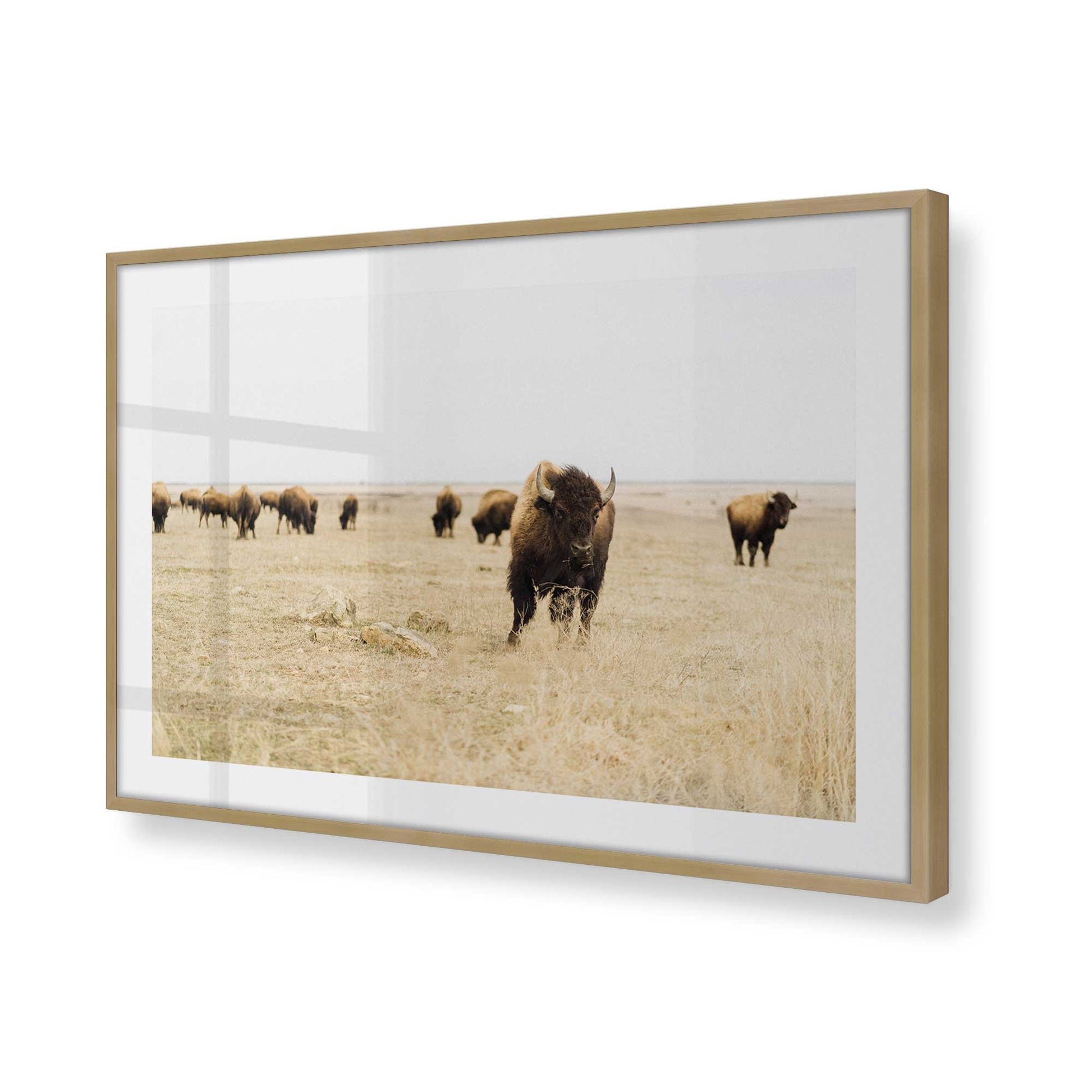 [Color:Brushed Gold], Picture of art in a Brushed Gold frame at an angle