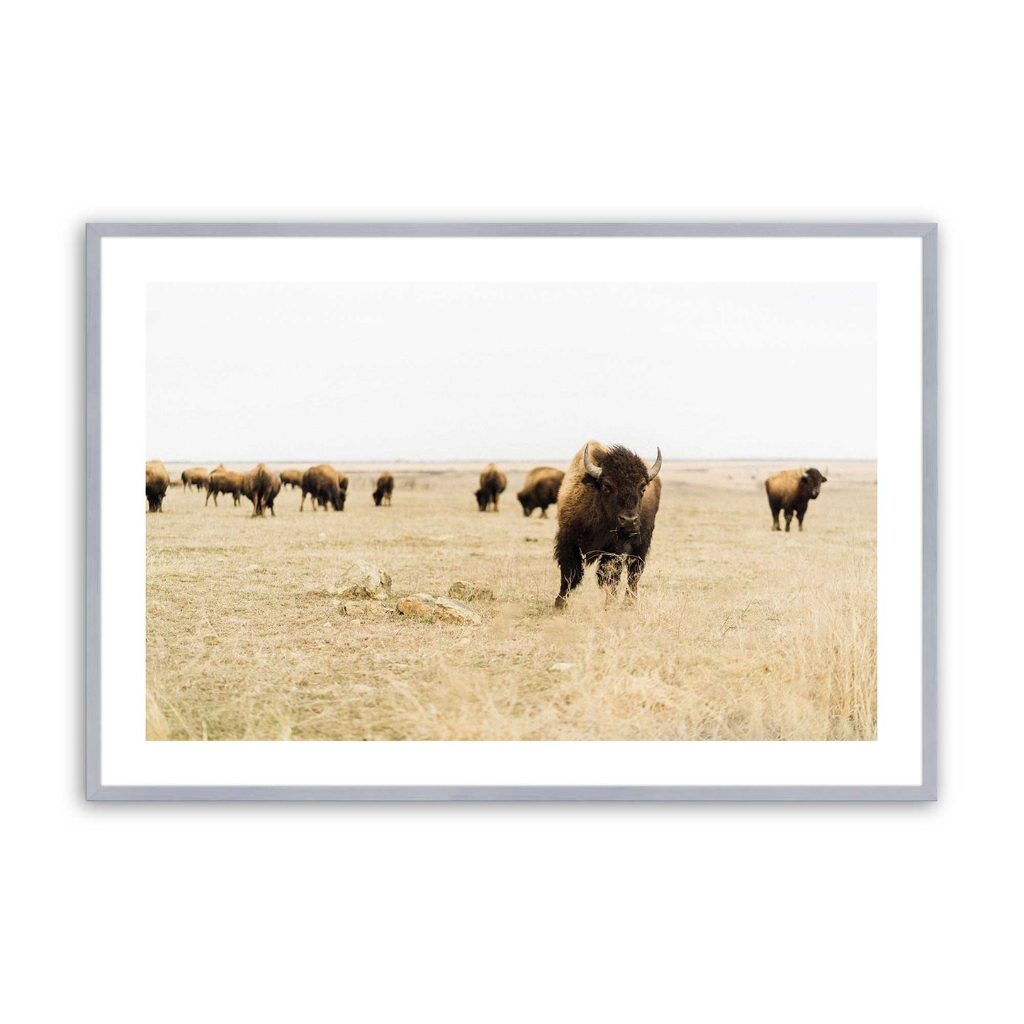 [Color:Polished Chrome], Picture of art in a Polished Chrome frame