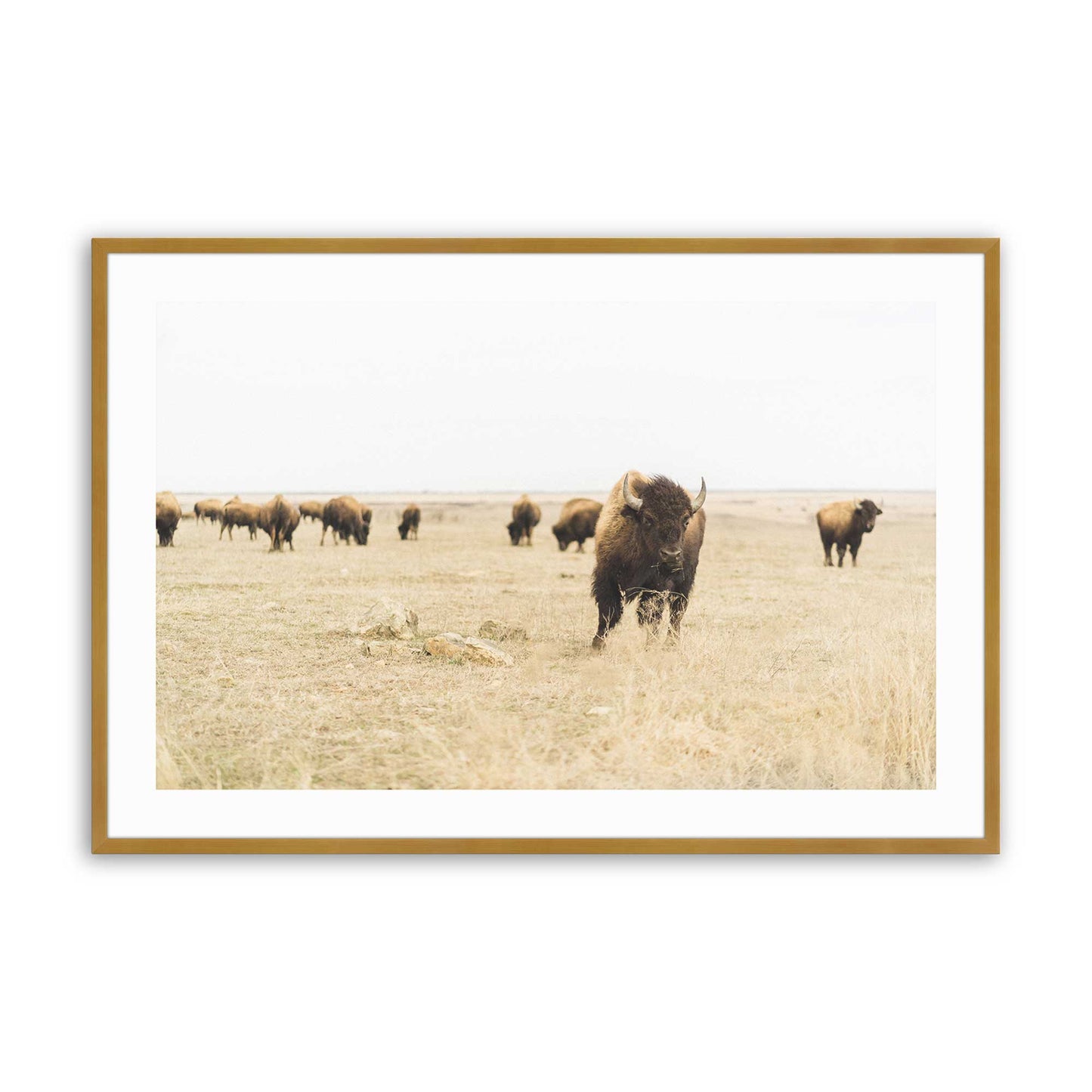 [Color:Polished Gold], Picture of art in a Polished Gold frame