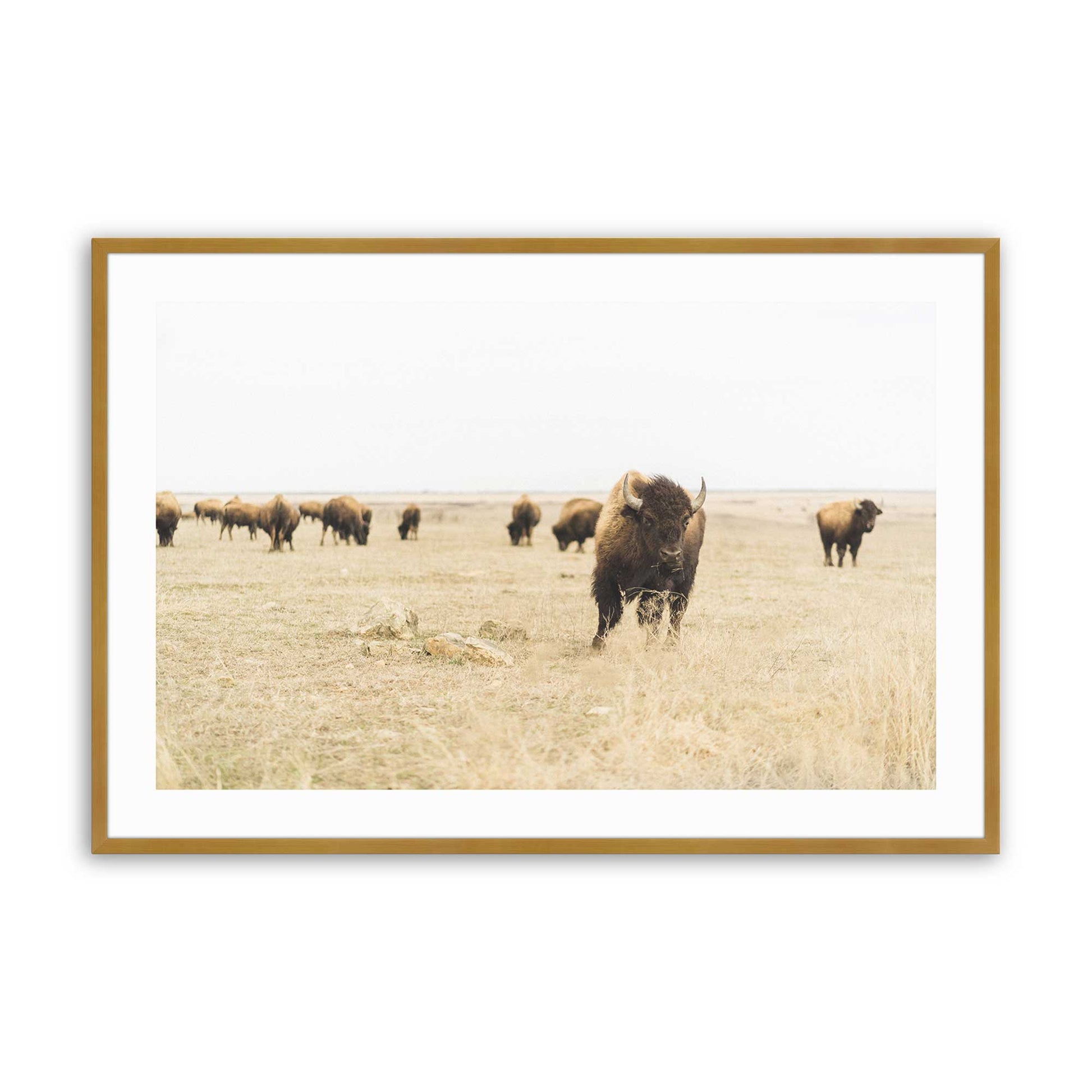 [Color:Polished Gold], Picture of art in a Polished Gold frame