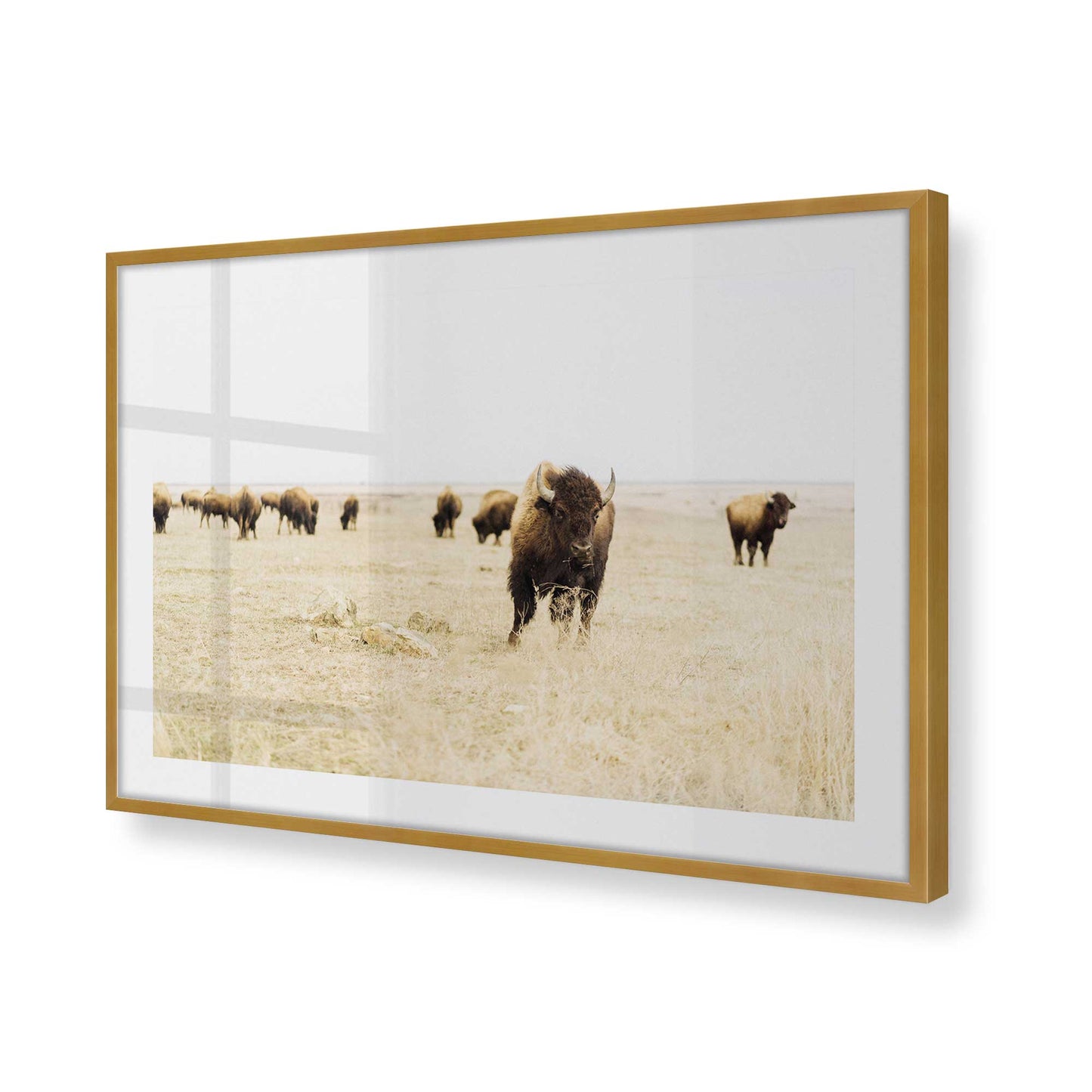 [Color:Polished Gold], Picture of art in a Polished Gold frame at an angle