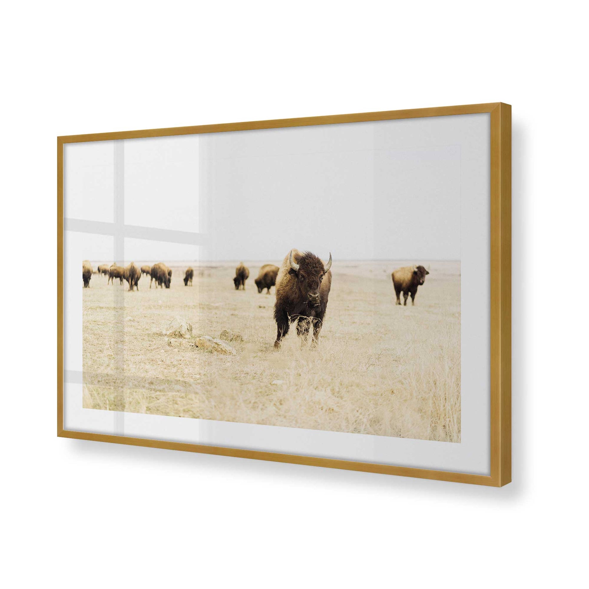 [Color:Polished Gold], Picture of art in a Polished Gold frame at an angle