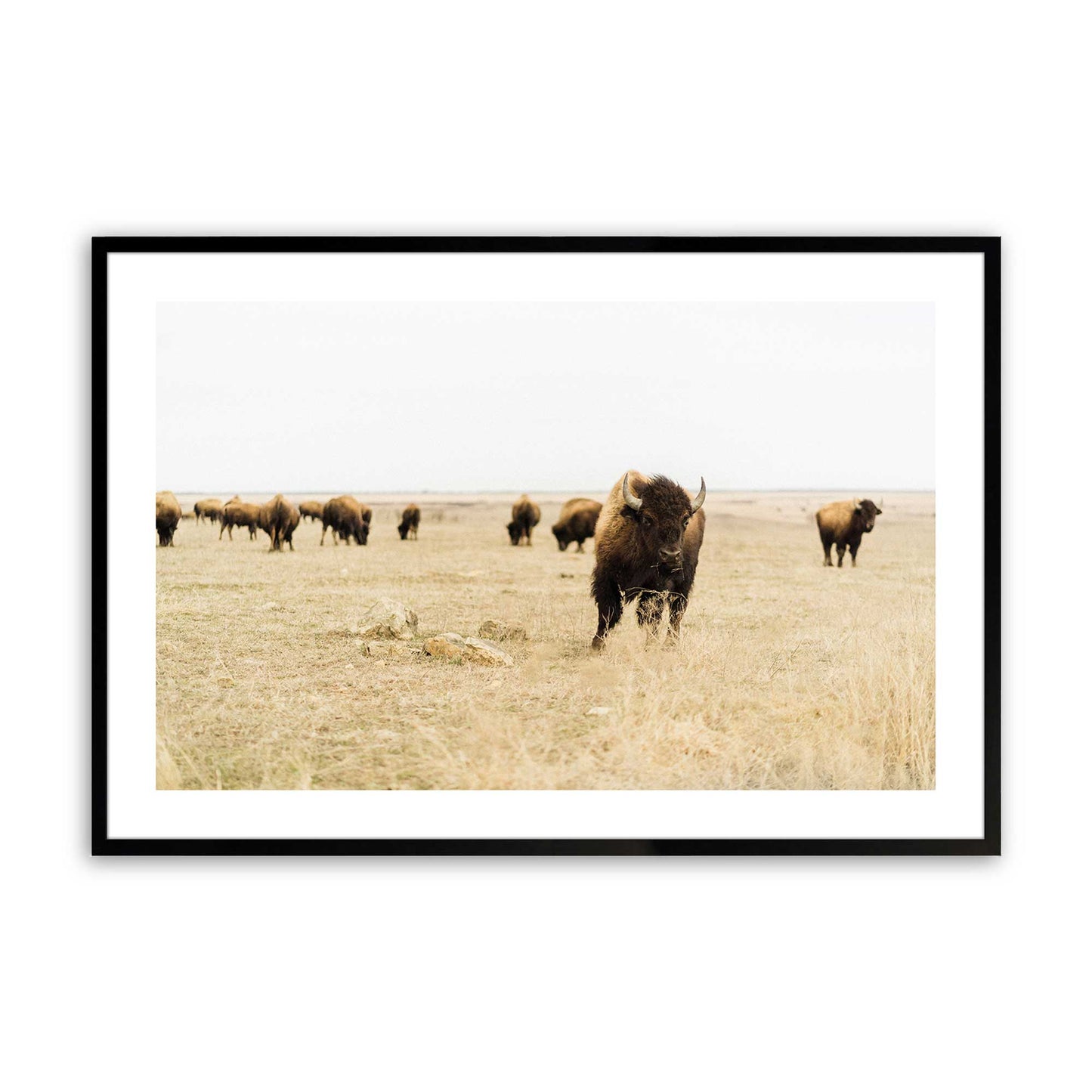 [Color:Satin Black], Picture of art in a Satin Black frame