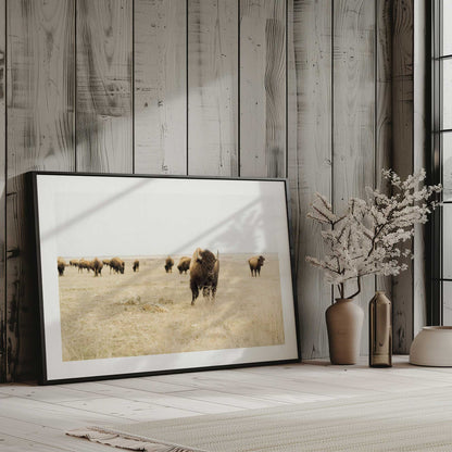 [LIFESTYLE], Picture of art in a room