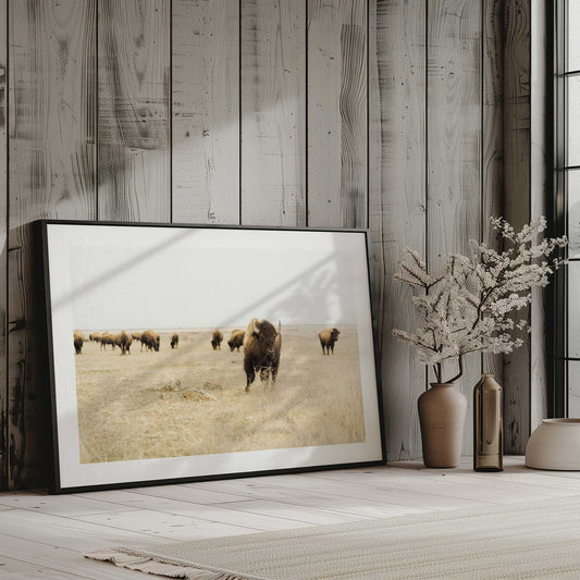 [LIFESTYLE], Picture of art in a room